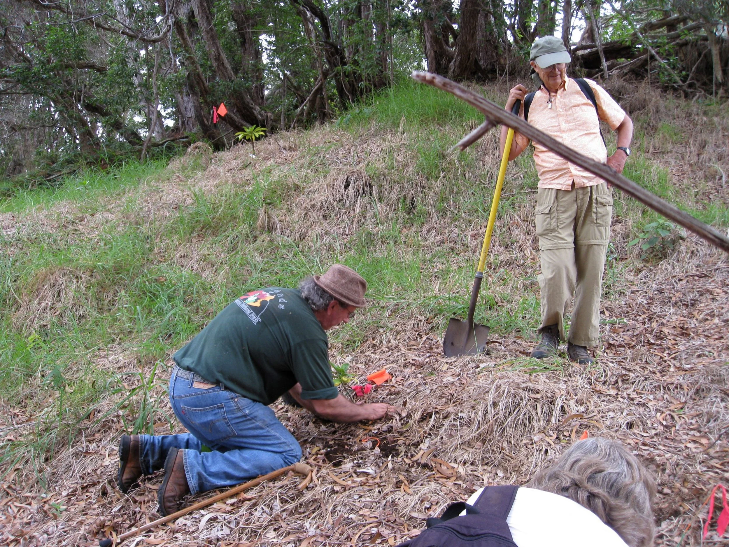 Forest Restoration - ADDED Project - December 12