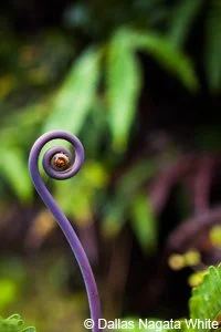 BIOBLITZ, BIODIVERSITY & CULTURAL FESTIVAL - May 15 and 16, 2015