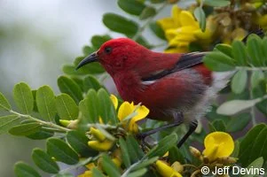 Hey BIRD LOVERS - SPACE AVAILABLE - We want you!