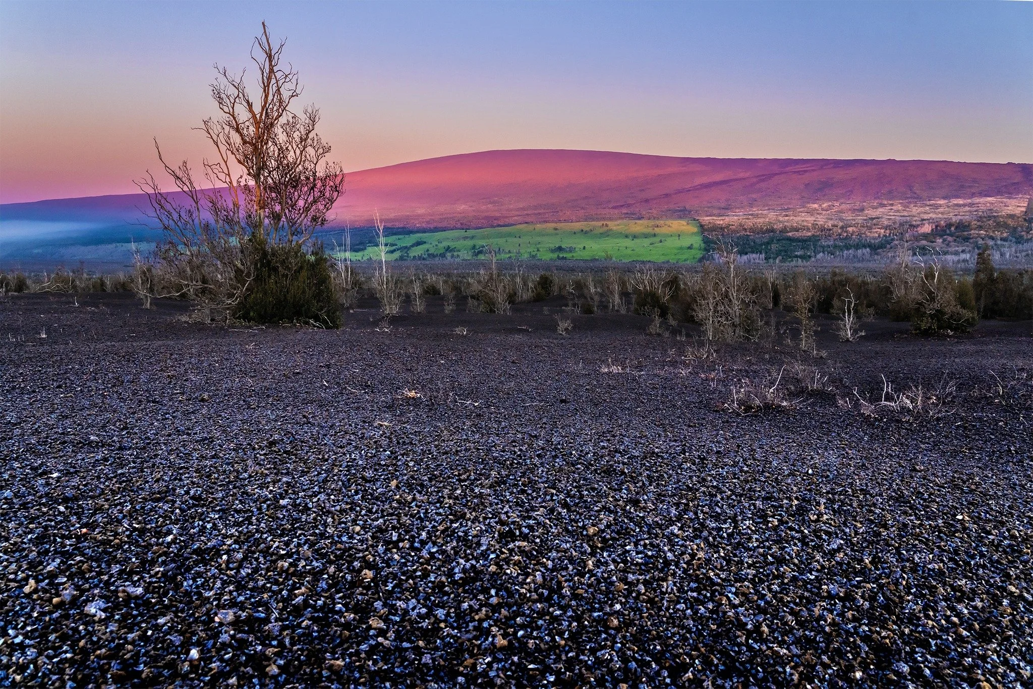 Happy National Best Friends Day! 🌋❤️✨

They say a good friend helps you grow, but a best friend protects your native forests, preserves your volcanic landscapes, and supports your community. 

As the Friends of Hawai'i Volcanoes National Park, we li