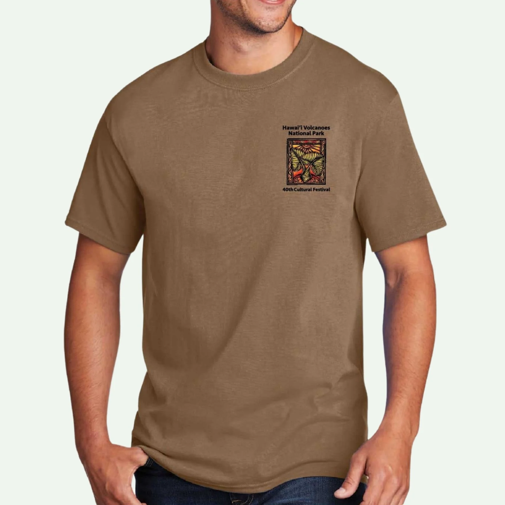 Hawaii-volcanoes-friends-tshirt.jpg