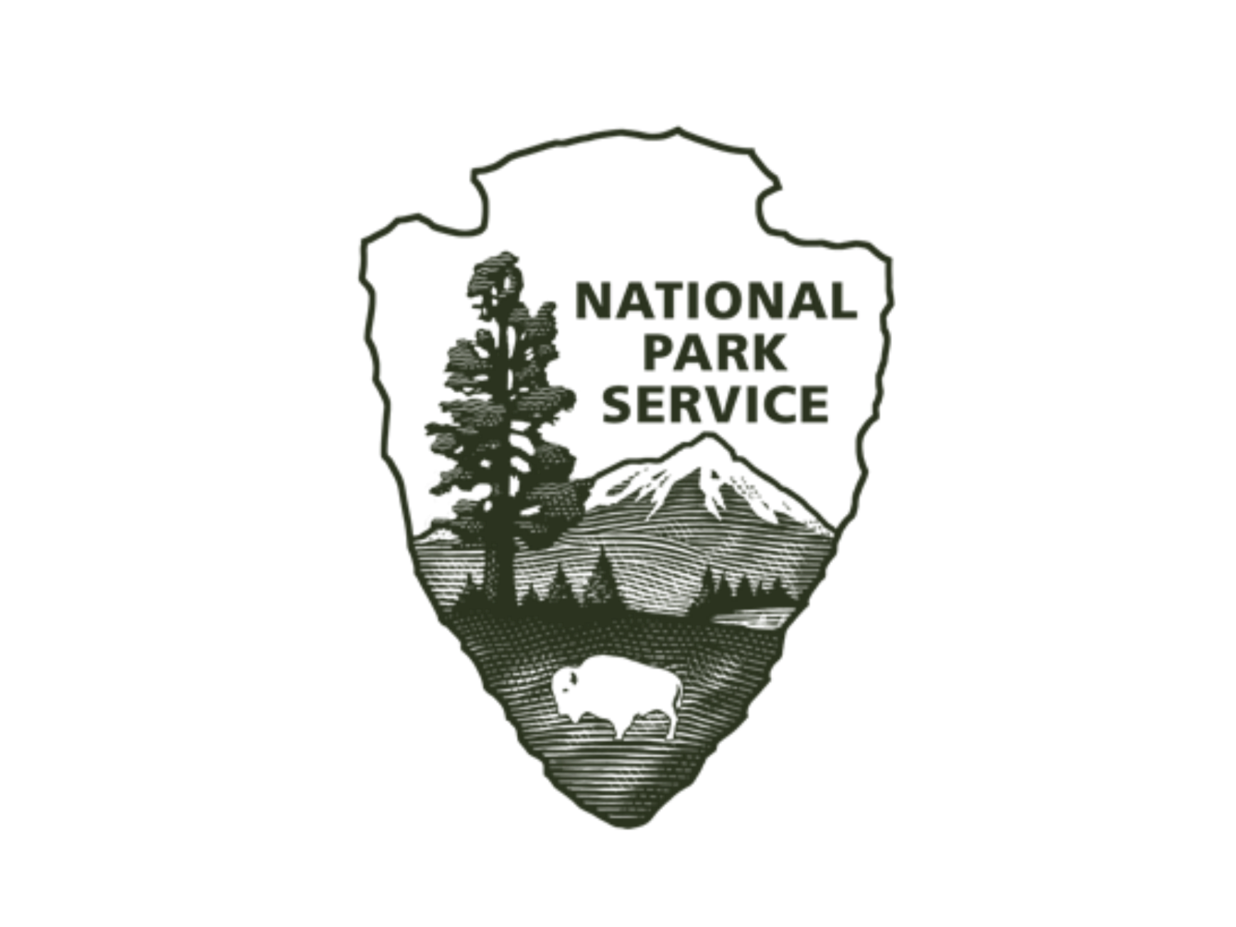 Outline of a mountain within the shape of a human skull, with trees and the text 'National Park Service' inside.