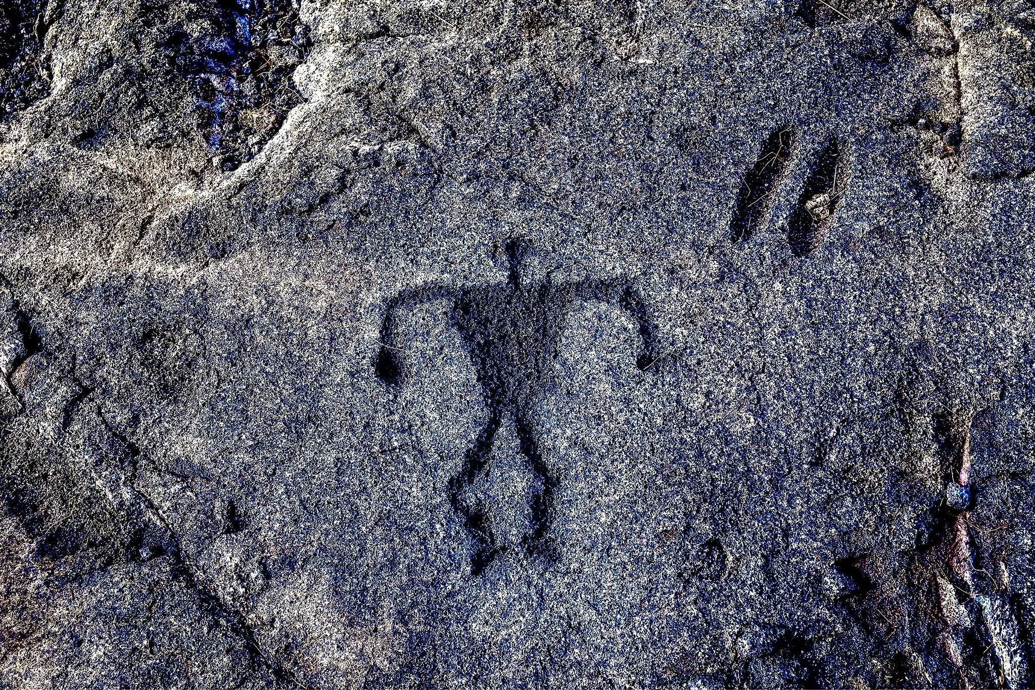 Sunday Walk in the Park: Pu‘u Loa Petroglyphs