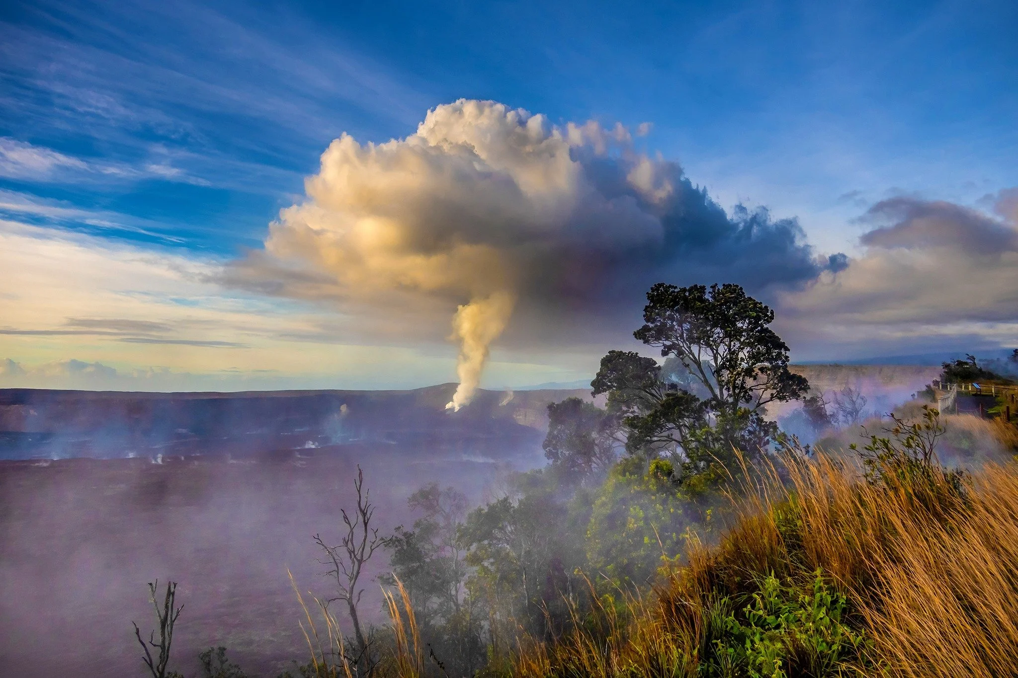 A landscape with a large cloud in the sky, trees and grassy plants in the foreground, and smoke or steam rising from a geothermal area in the background.