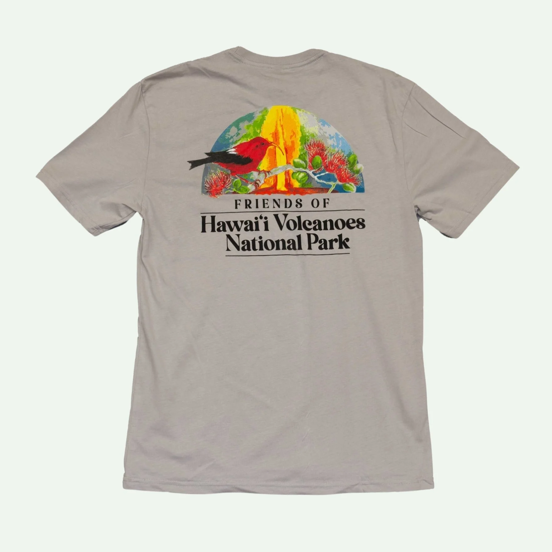 Hawaii-volcanoes-friends-tshirt-gray-back.jpg