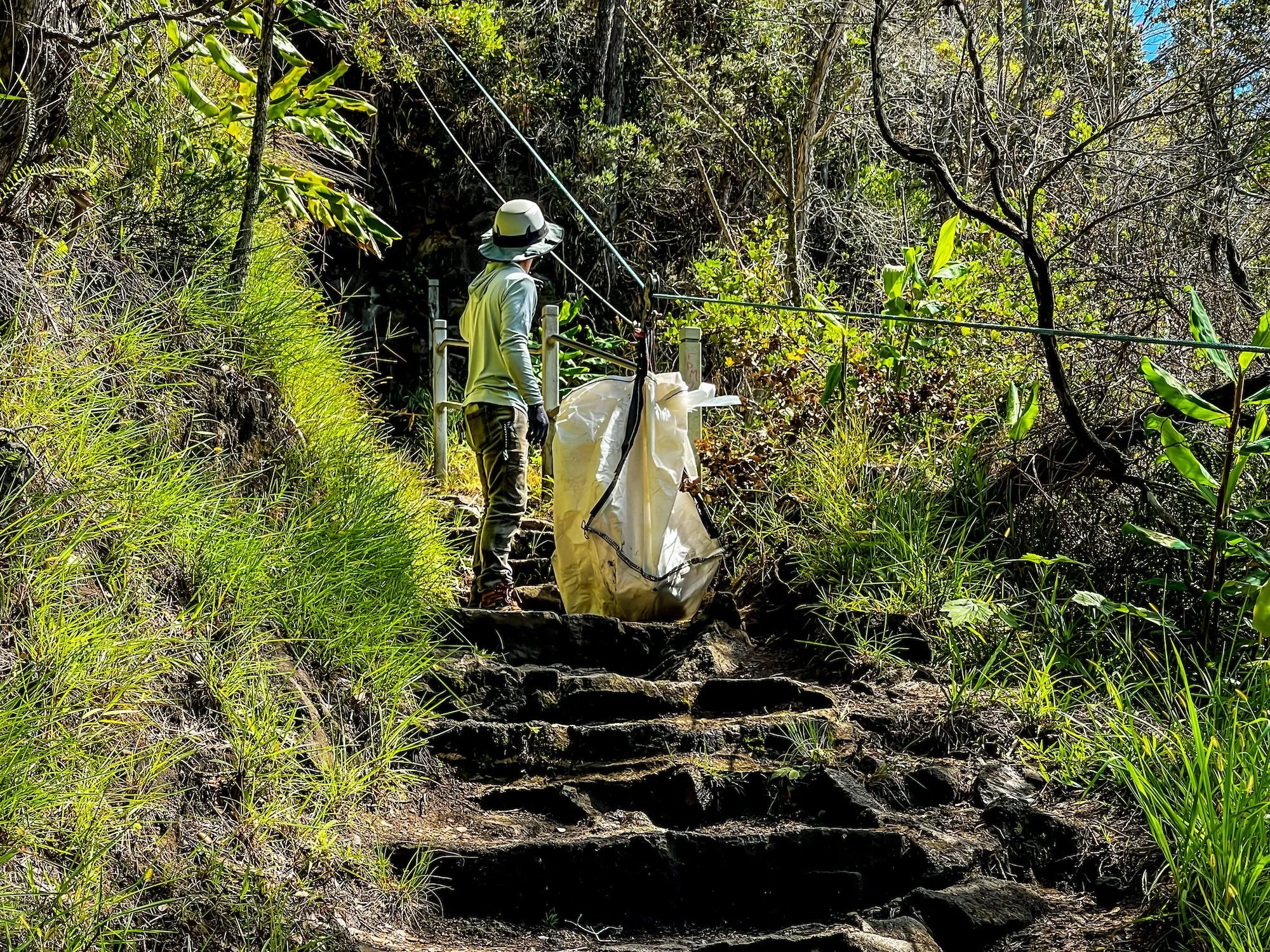 A person wearing a hat and protective gear stands on rocky steps in a green forest, observing scientific equipment wrapped in a white cover and connected with wires.