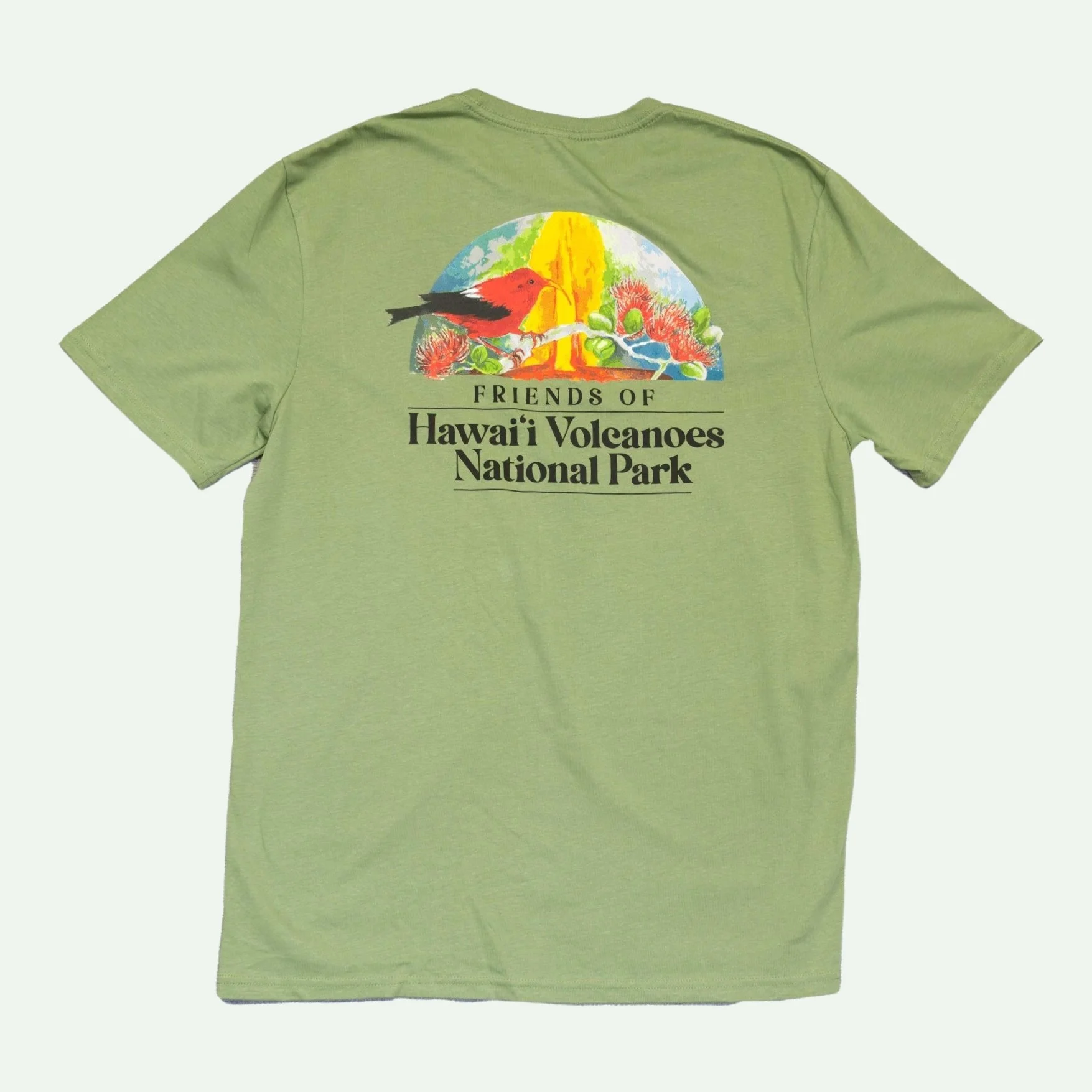 Hawaii-volcanoes-friends-tshirt-green-back.jpg