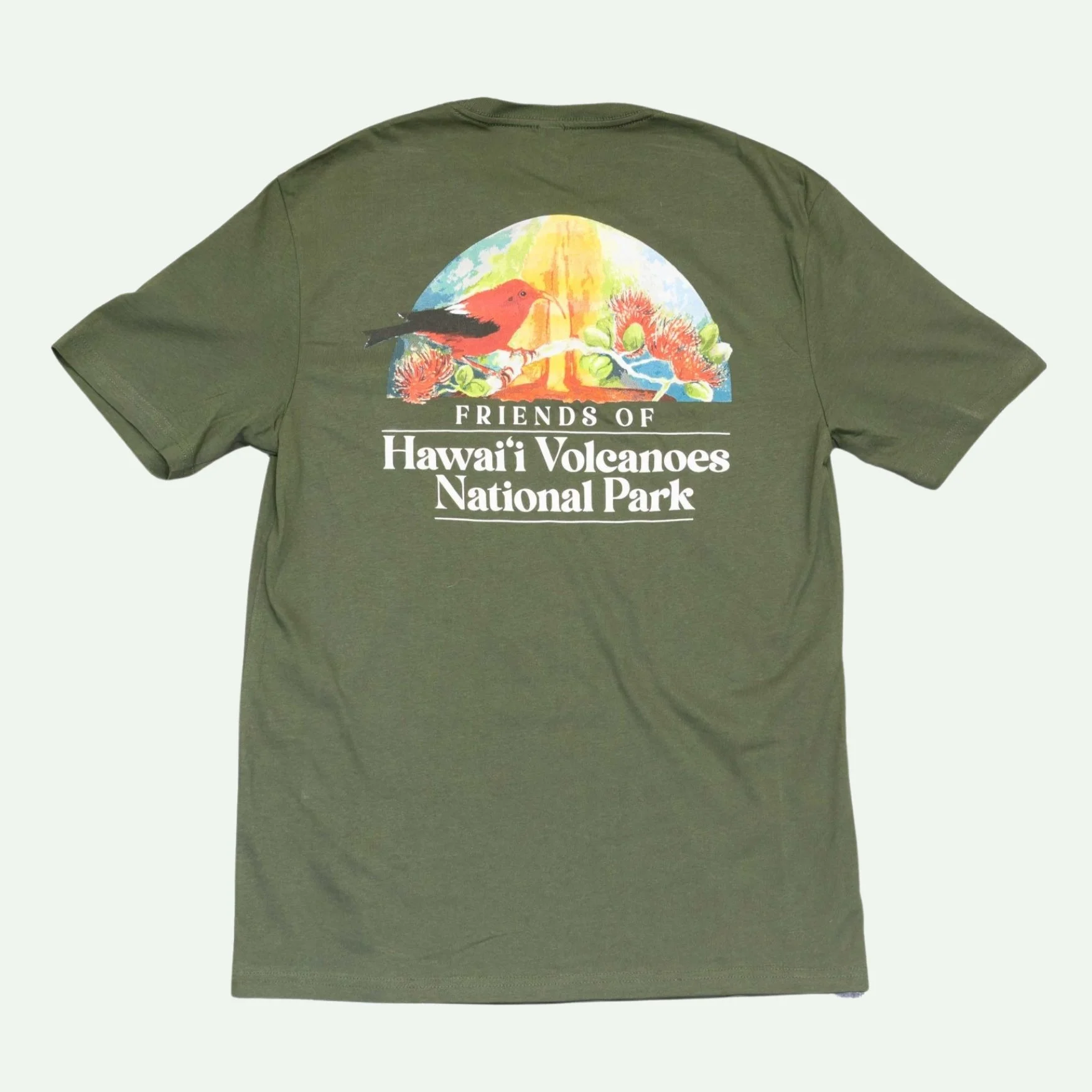 Hawaii-volcanoes-friends-tshirt-moss-back.jpg