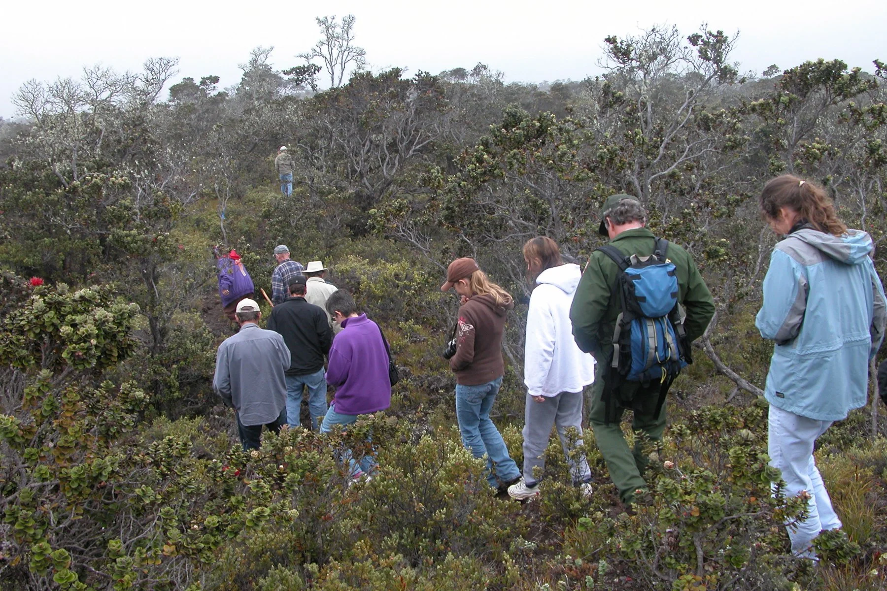 A group of people in outdoor clothing walking through a dense, bushy, and rocky landscape with sparse trees, possibly on a hiking or nature tour.