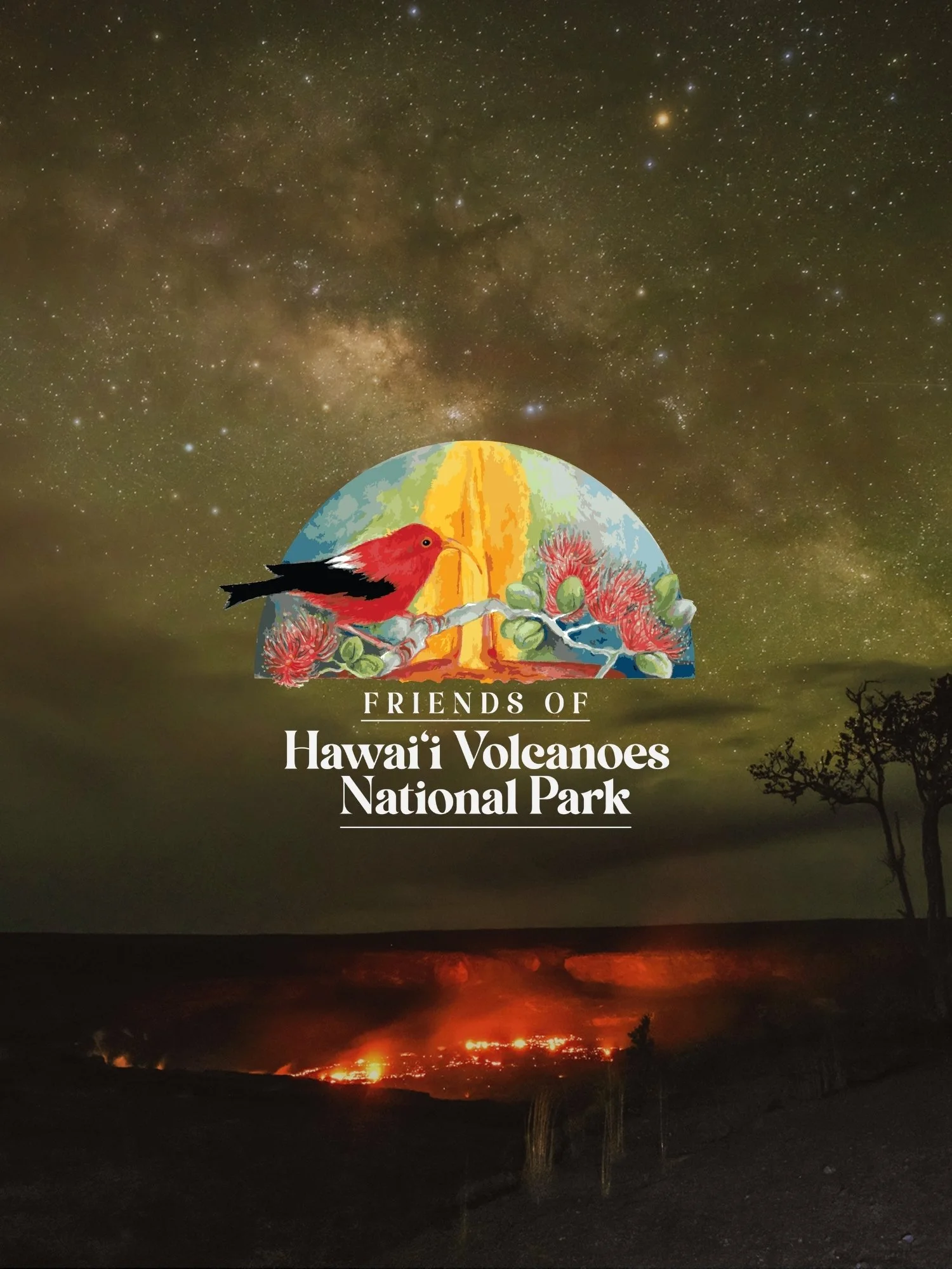 Nighttime view of a volcanic eruption with lava flowing, divided by a graphic overlay showing a red bird, volcanic imagery, and text that reads "Friends of Hawai'i Volcanoes National Park."