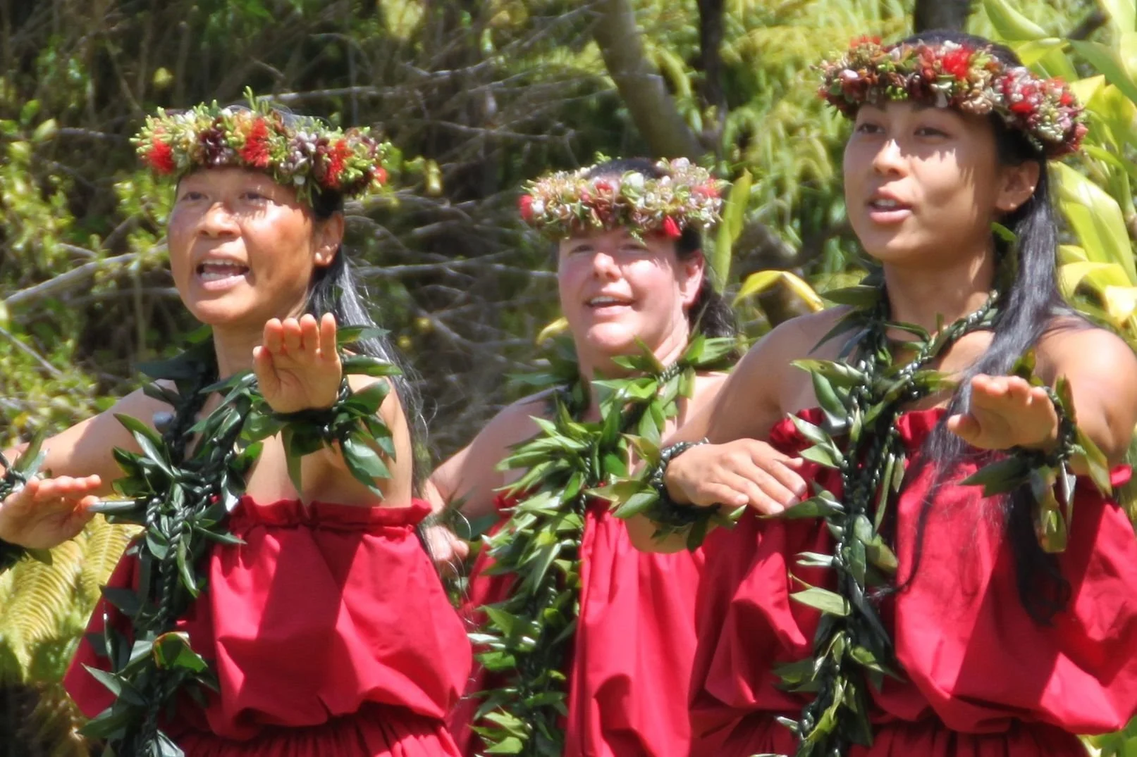 Nā Leo Manu (Heavenly Voices)