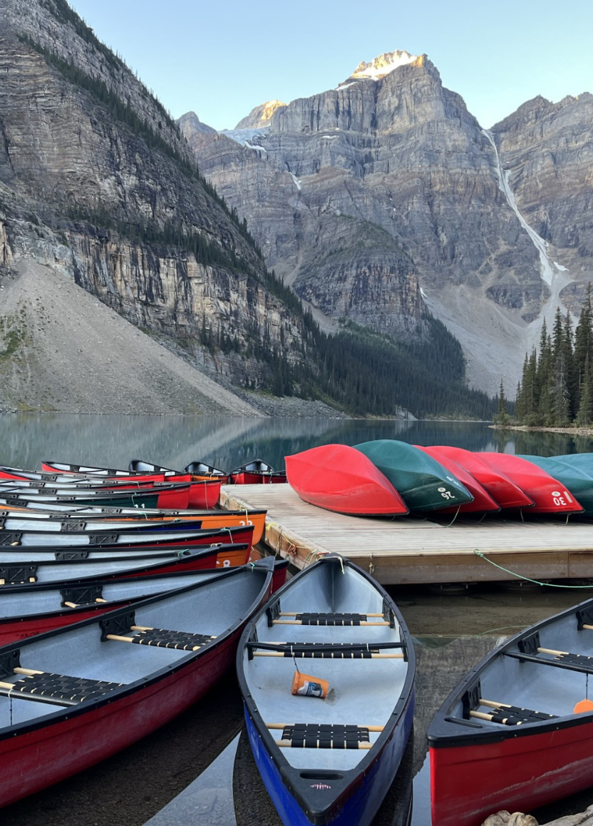 The Leadership Portrait℠ Explained: Perception Meets Reality