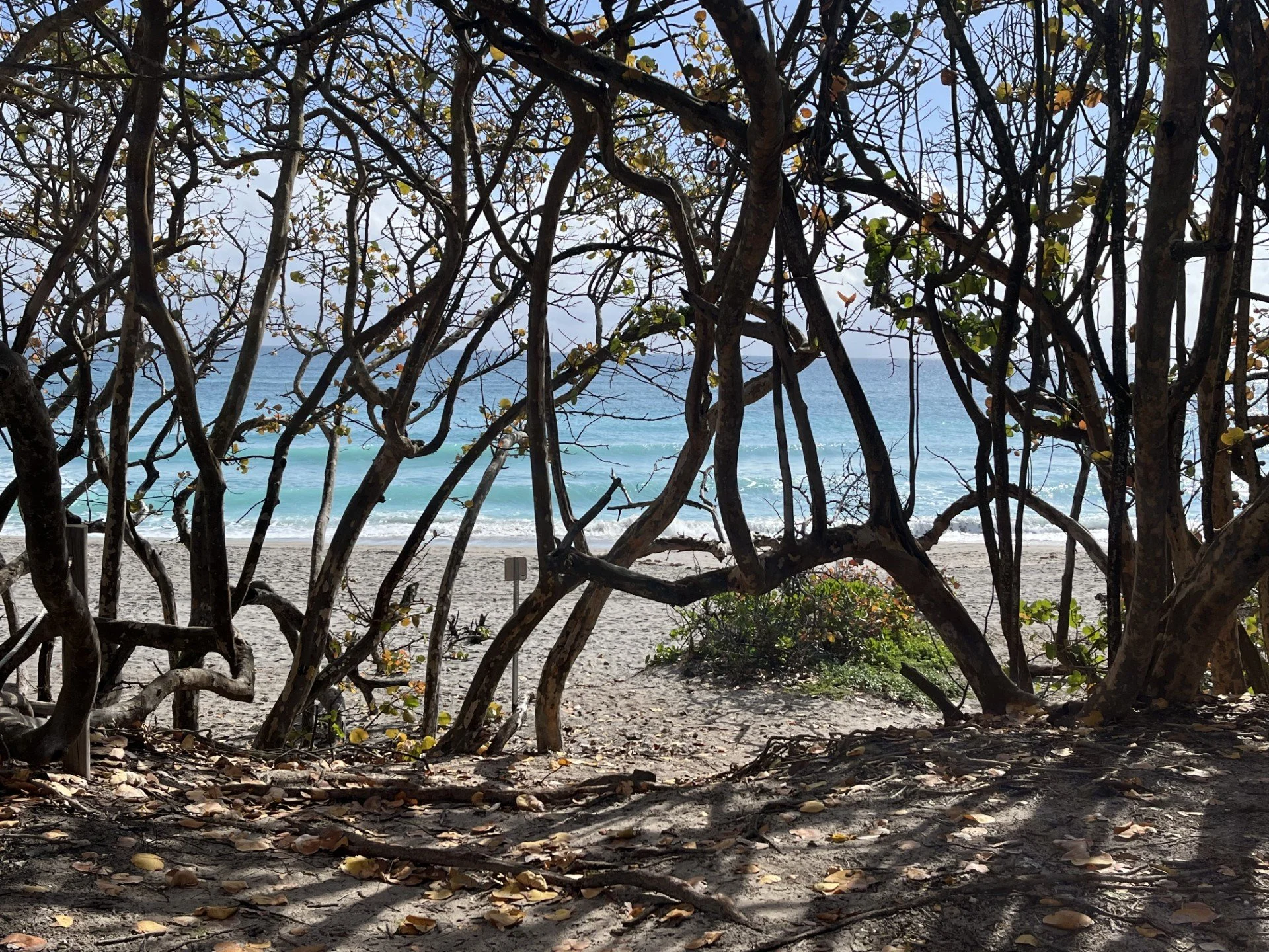 During an M&amp;A, Your Team Is Watching You. Closely.