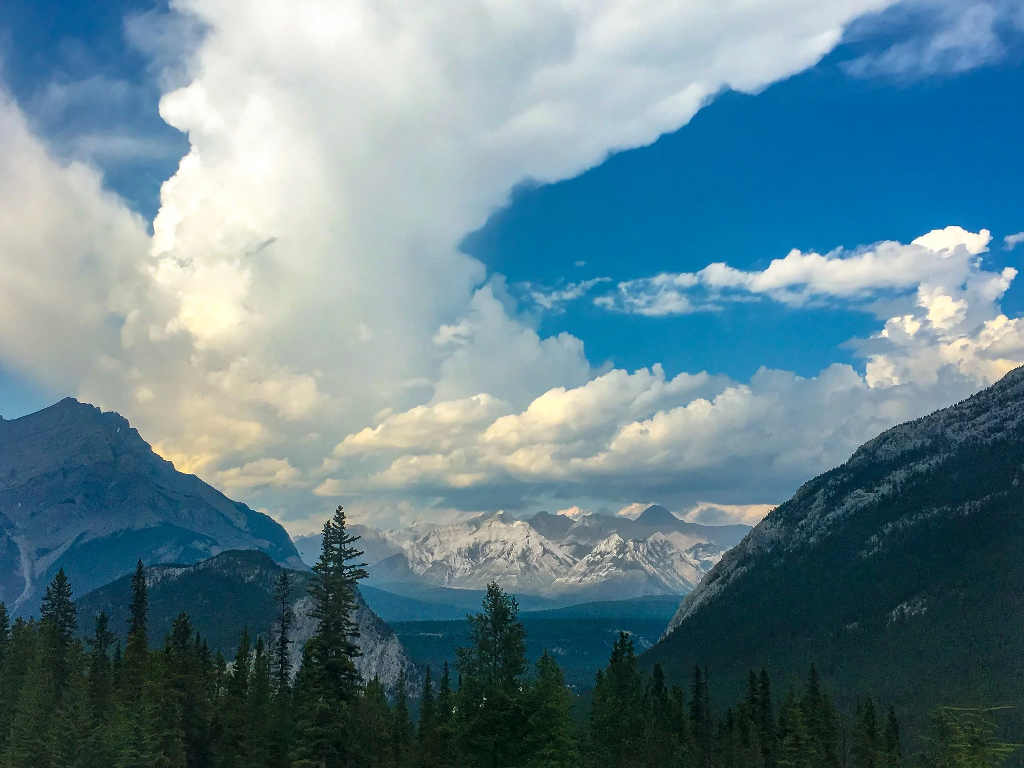 What One PBS Show Can Teach Leaders