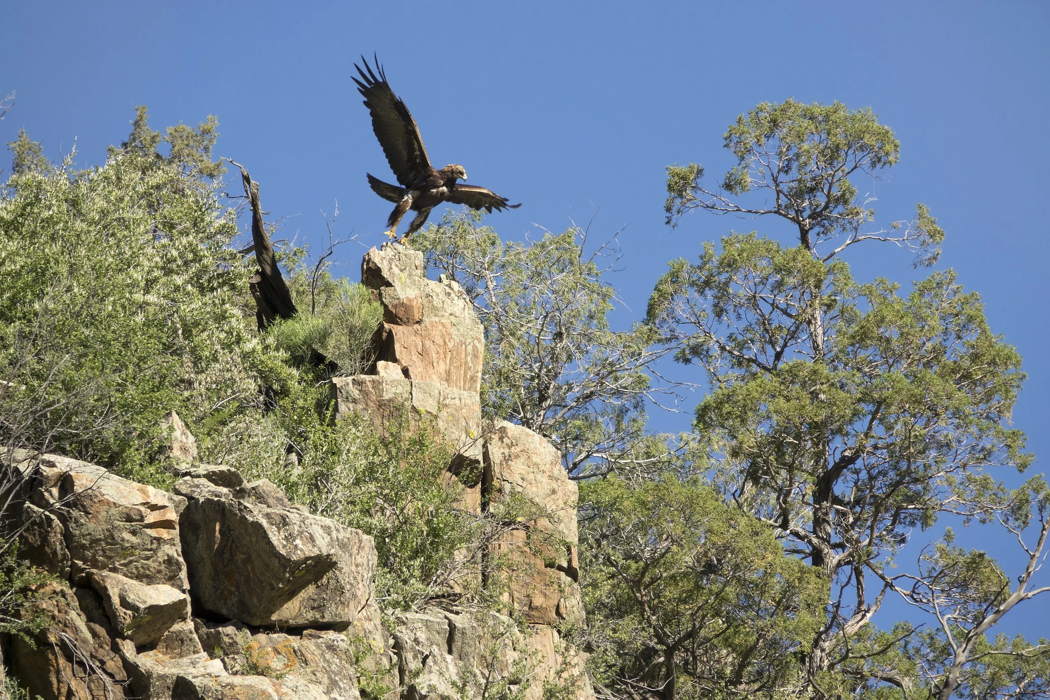 The Cost of Saying Maybe