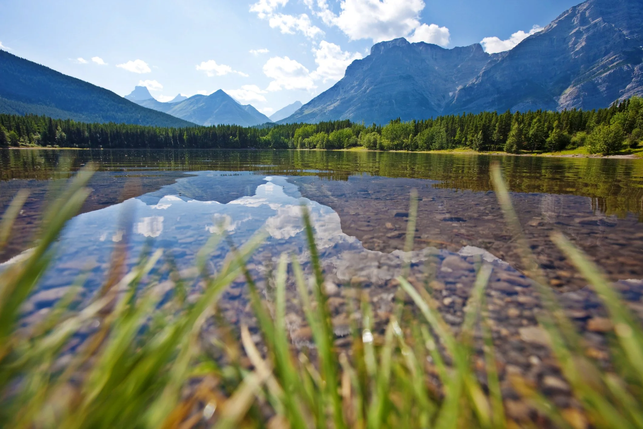 The Enneagram Explained: How You’re Wired and Why It Matters