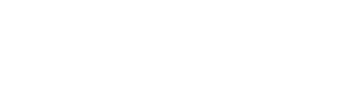 White logo of the brand 'Morningstar'