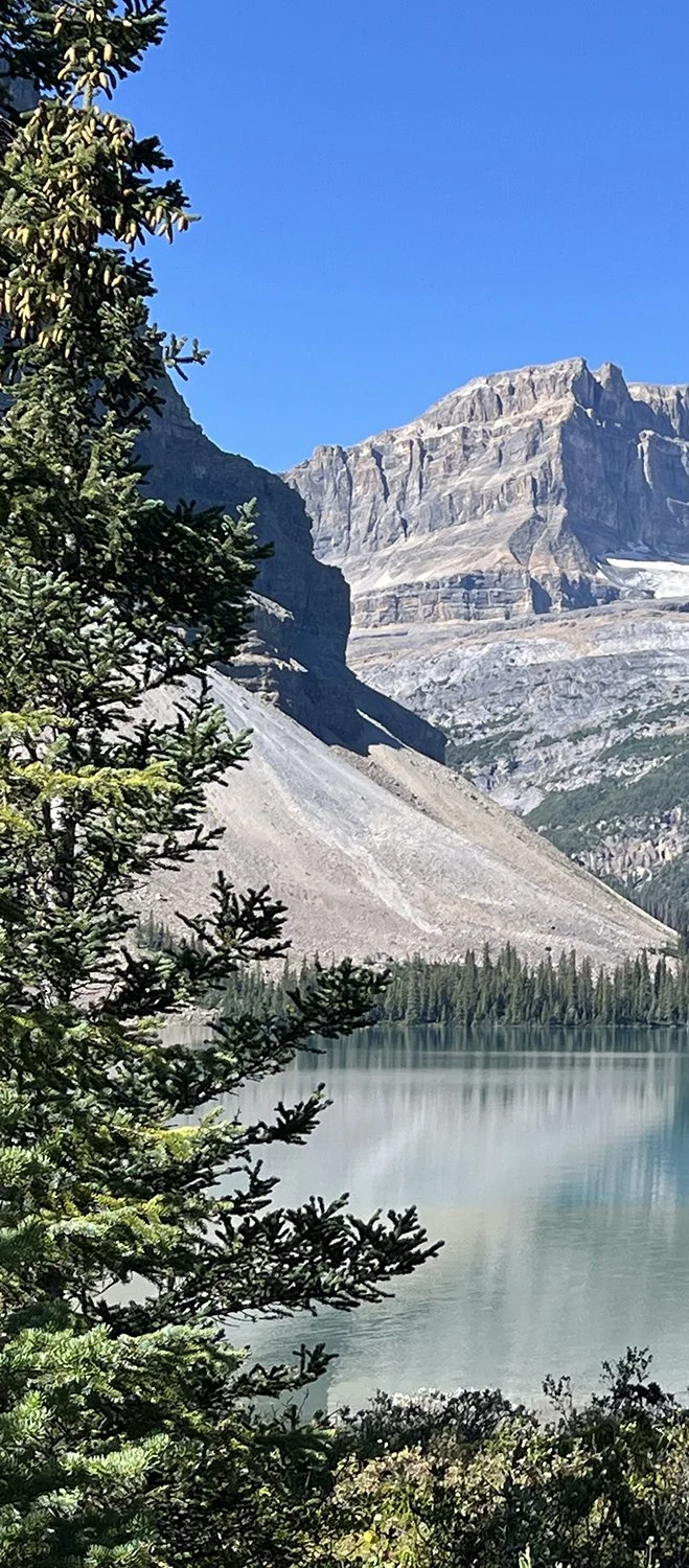 A mountain landscape with a lake, trees in the foreground, rocky mountains in the background, and a clear blue sky.