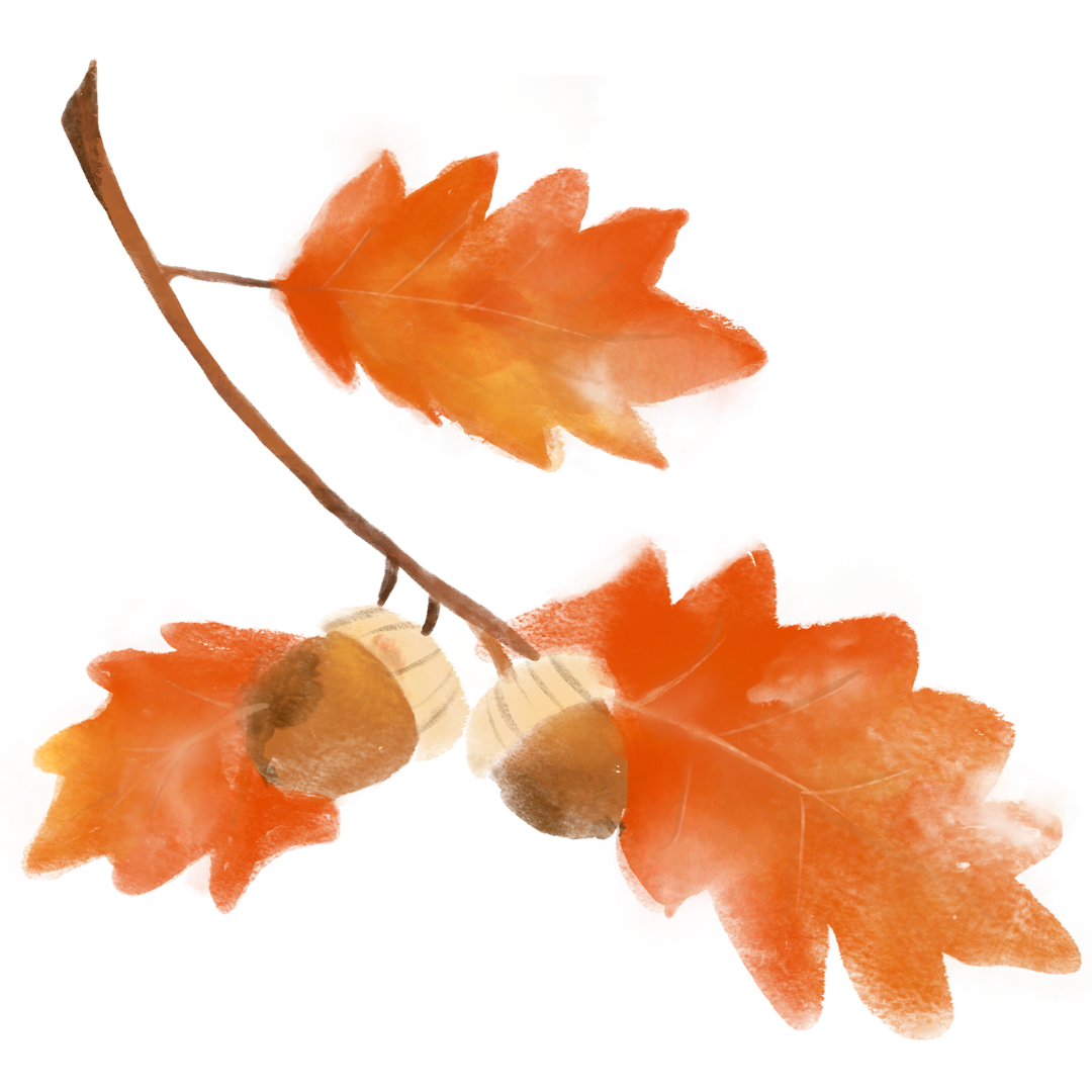 Orange fall leaves with acorns.