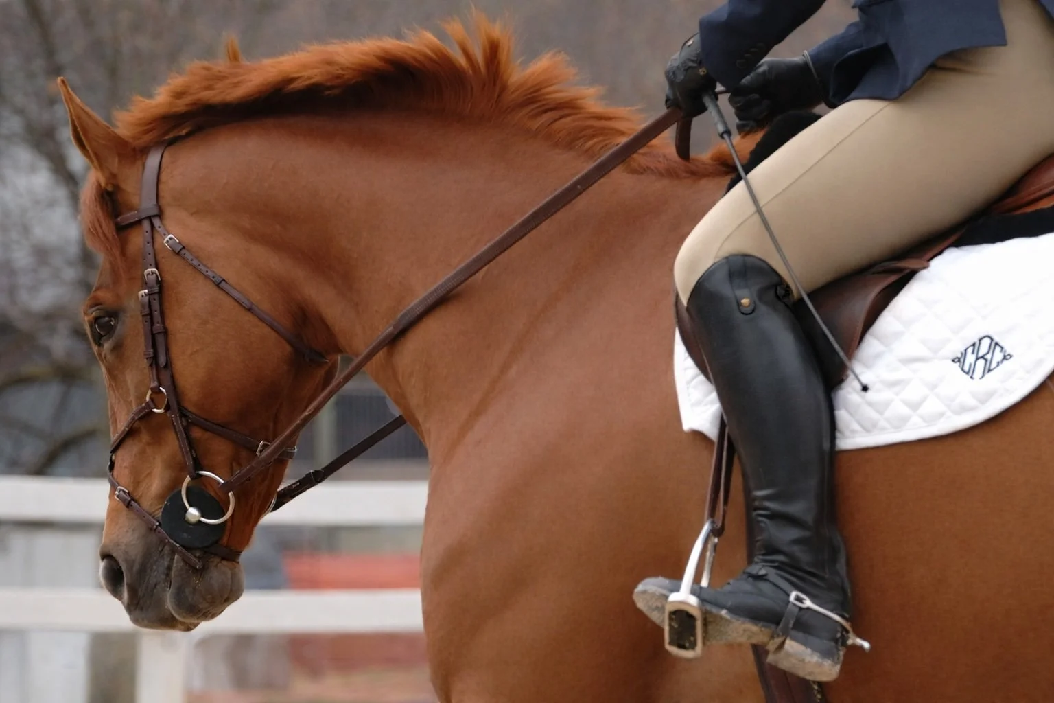 Contracts in Motion: Legal Considerations for Multi-Circuit Agreements