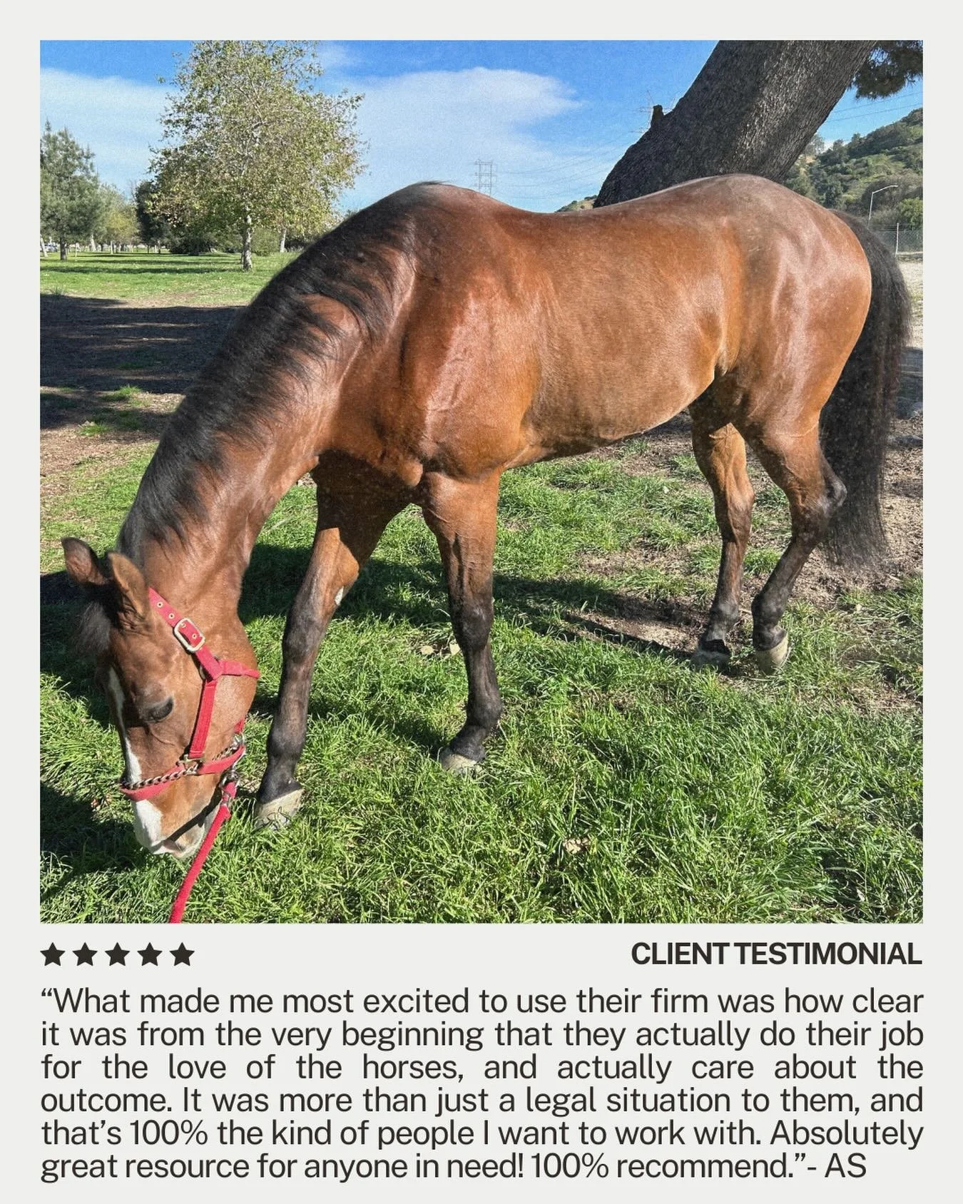 This one hit different. 🤍

When AS reached out to us through Instagram, she wasn&rsquo;t sure anyone could help. She&rsquo;d already been told by another firm that no one would touch her case.

We&rsquo;re so glad she found us anyway.

We don&rsquo;