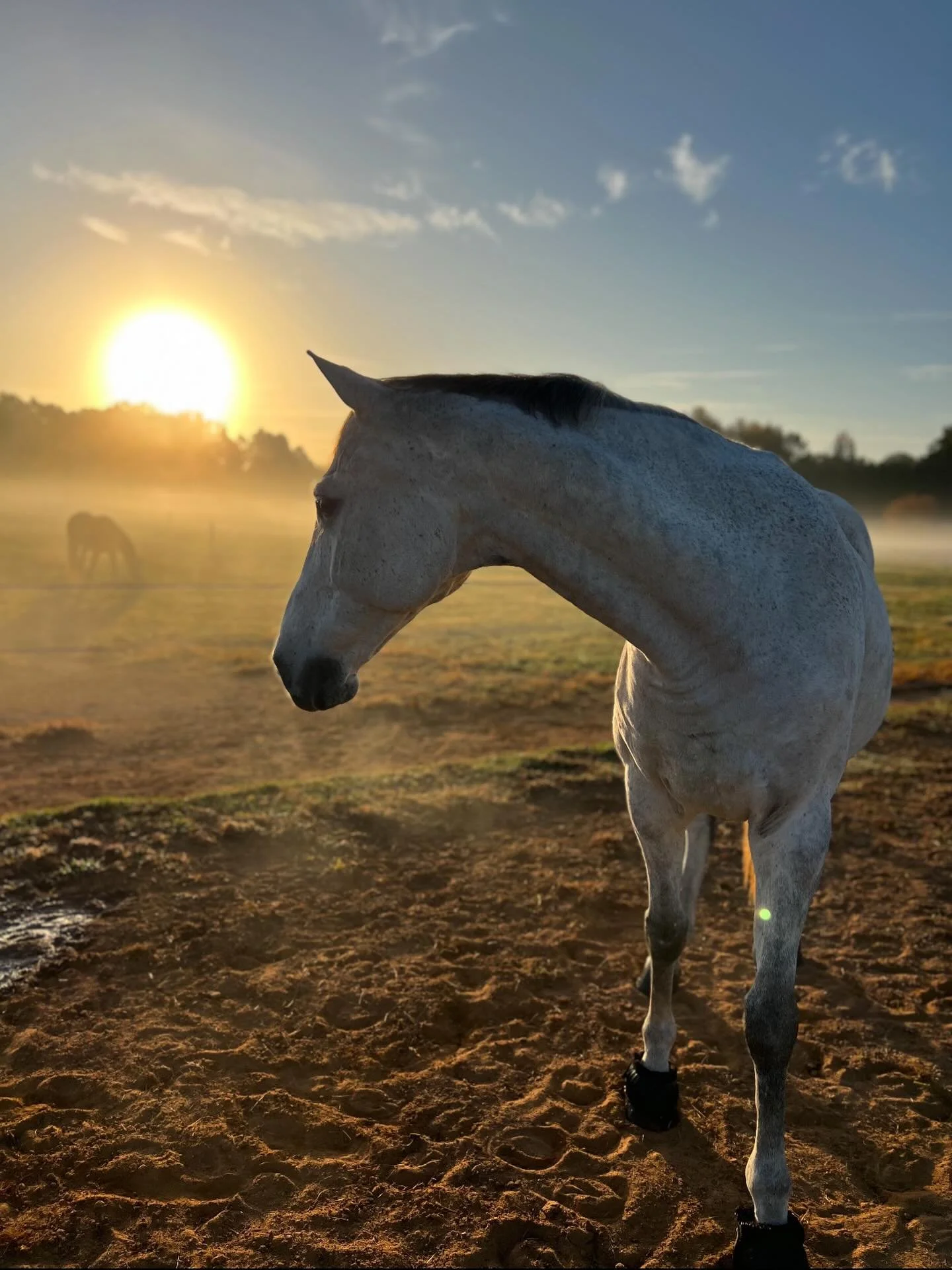 Trust is earned in moments like this one. 🖤

#LegallySound #WiseCovington #EquineLaw