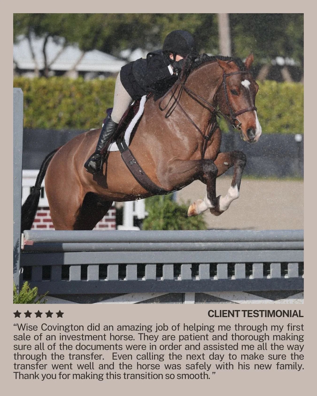 Of course we called the next day. 🐴

Not because we had to. Because we wanted to know Gumby made it safely to his new family.

That&rsquo;s just how we do things at Wise Covington.

Selling a horse is a big deal - financially and emotionally. We&rsq