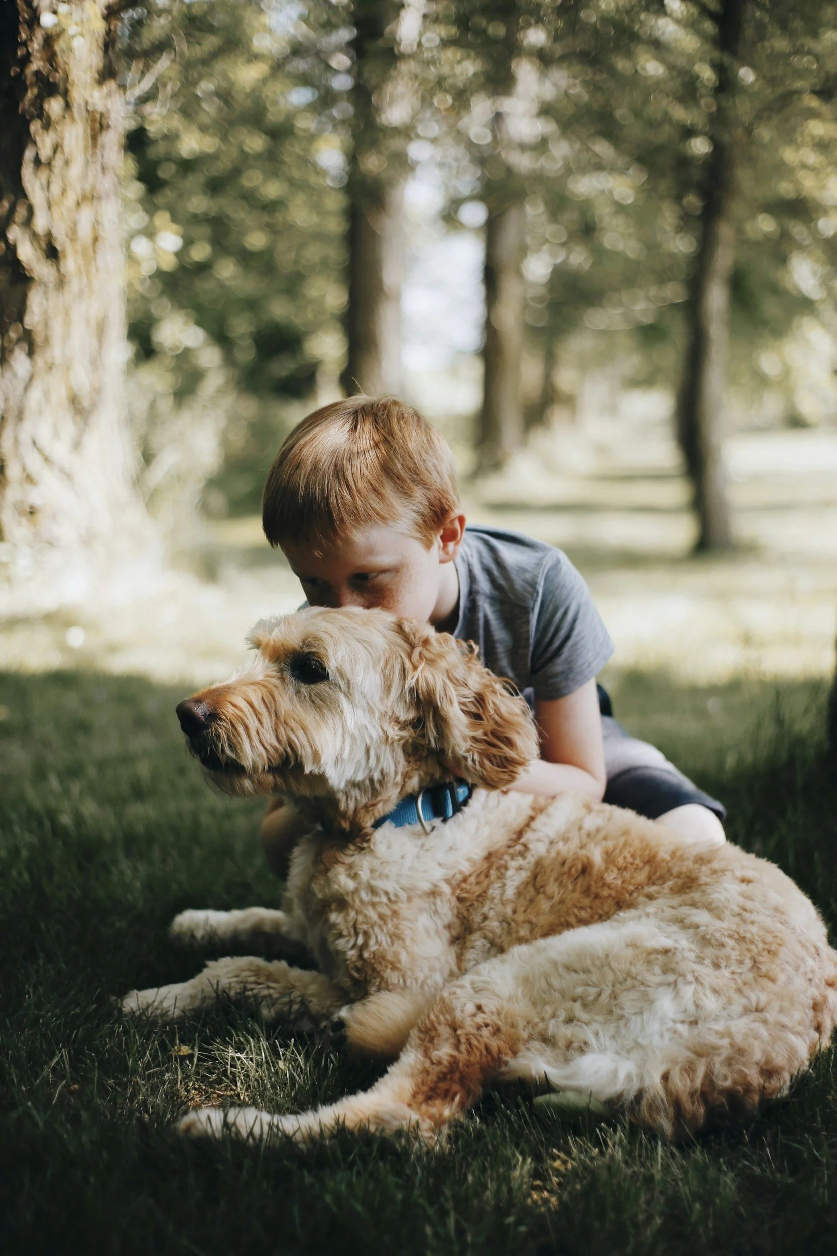 A young boy with red hair lying on the grass and cuddling his golden retriever dog outdoors in a shaded park.