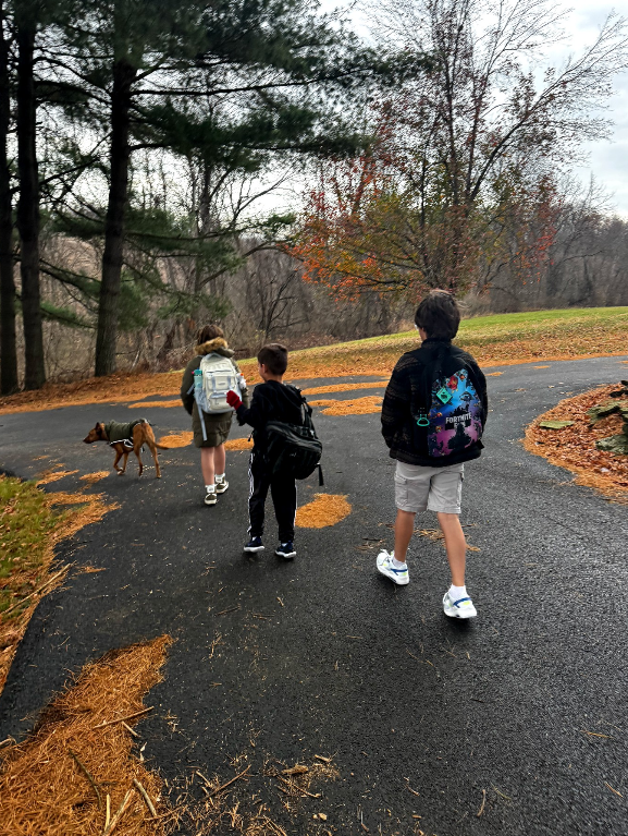 Three children walking on a paved path with a dog on a leash in a park during autumn, with leafless trees and fallen leaves on the ground.