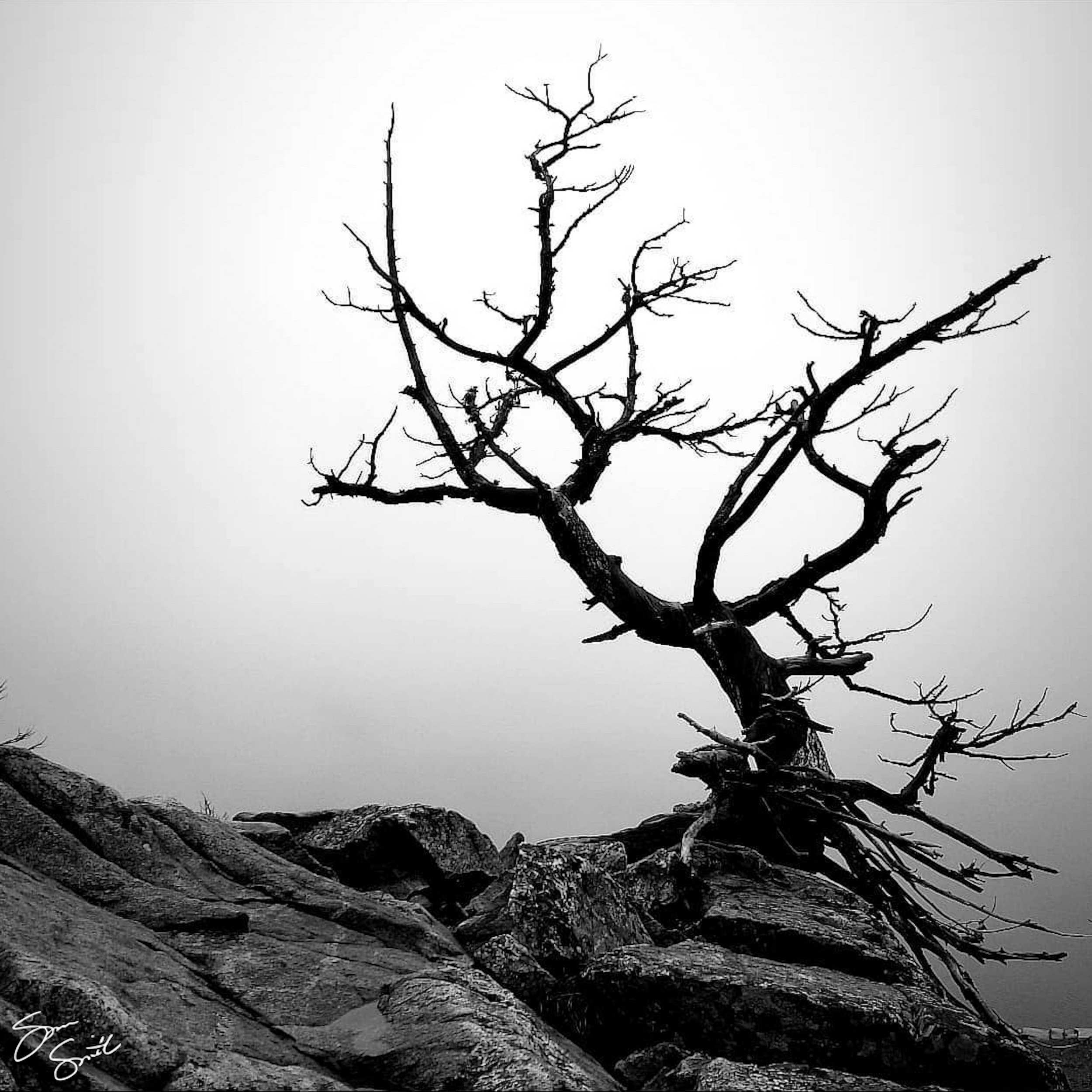 “GTNP: Inspiration Point” -Photography