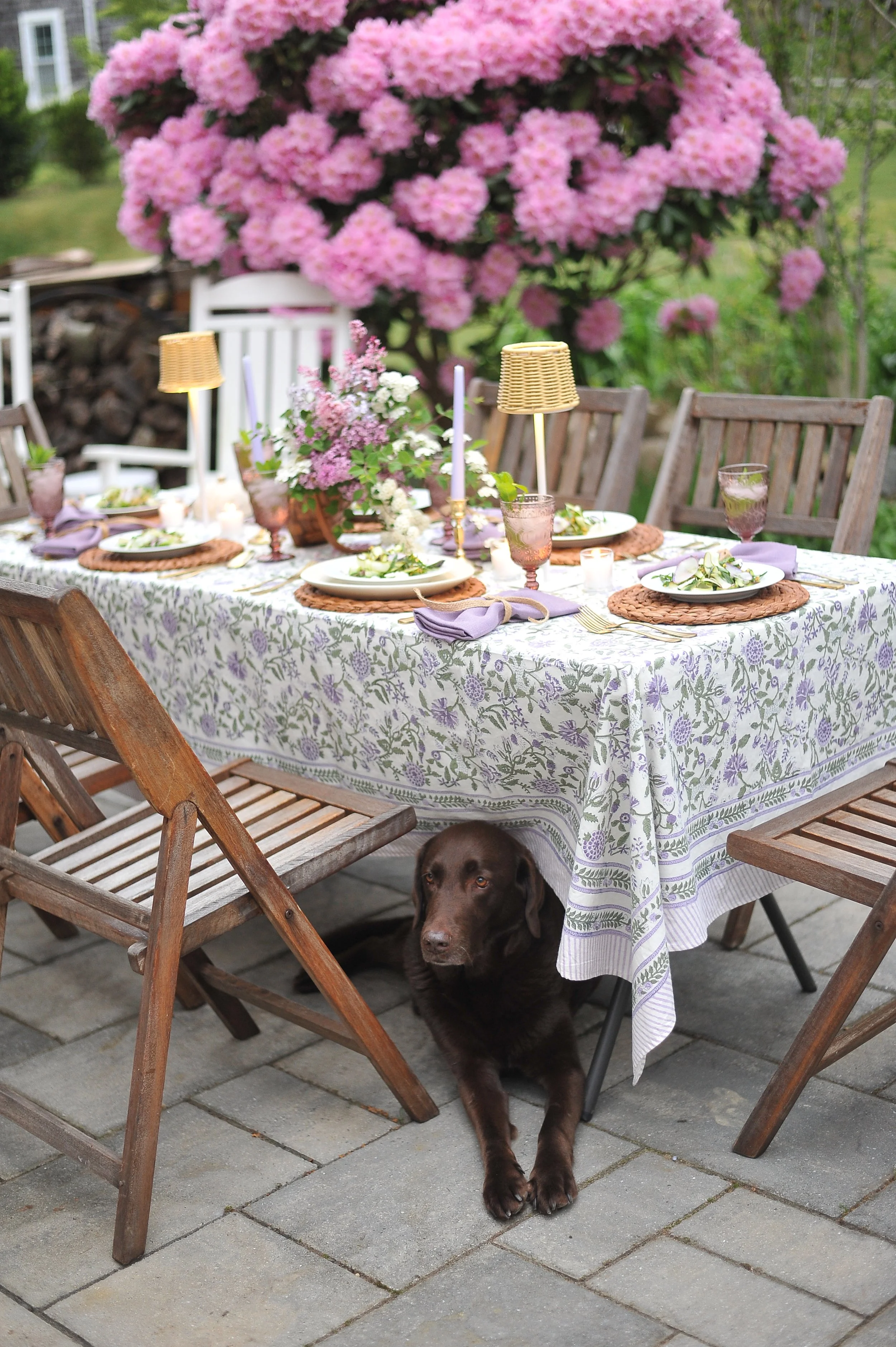 Kristin Young Photography