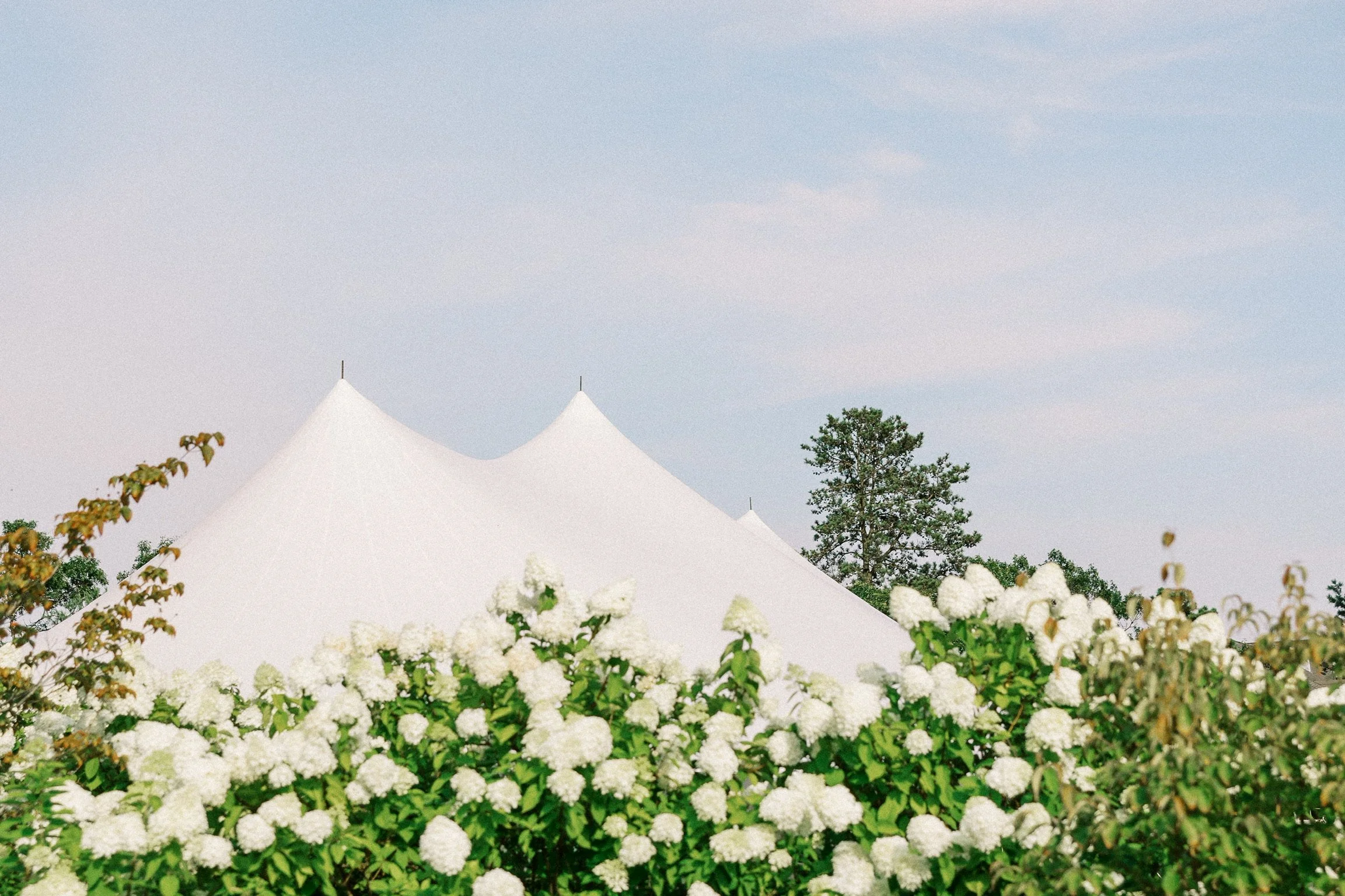 Halie Child Photography