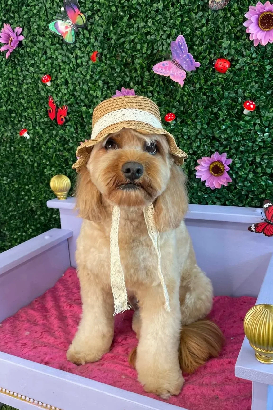 A light brown dog with long ears sitting on a pink blanket inside a purple bed, wearing a straw hat with lace ribbons. The background features green foliage decorated with pink, purple, and red butterflies, ladybugs, flowers, and gold ornaments.