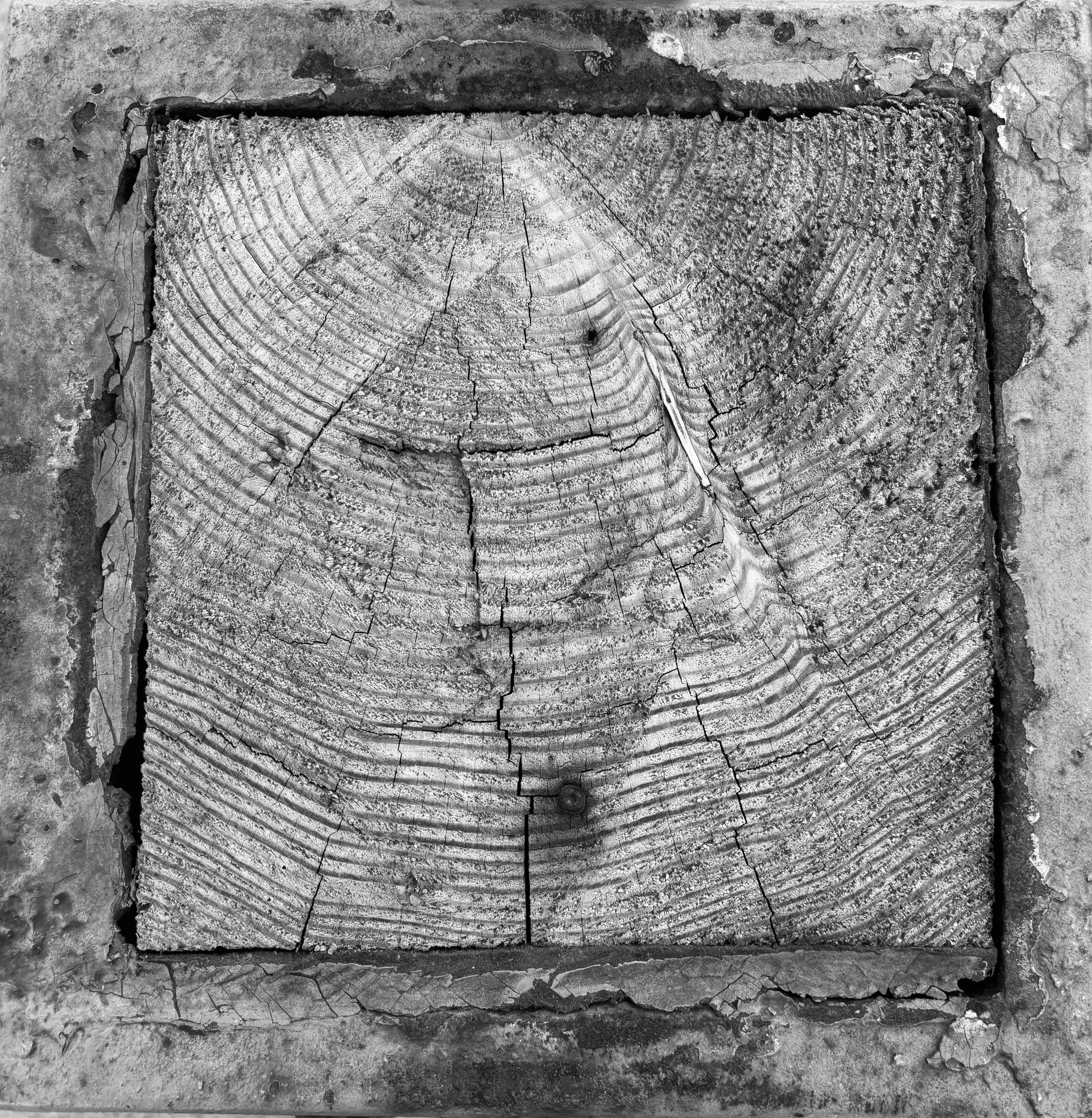 How old are you? how young am I?