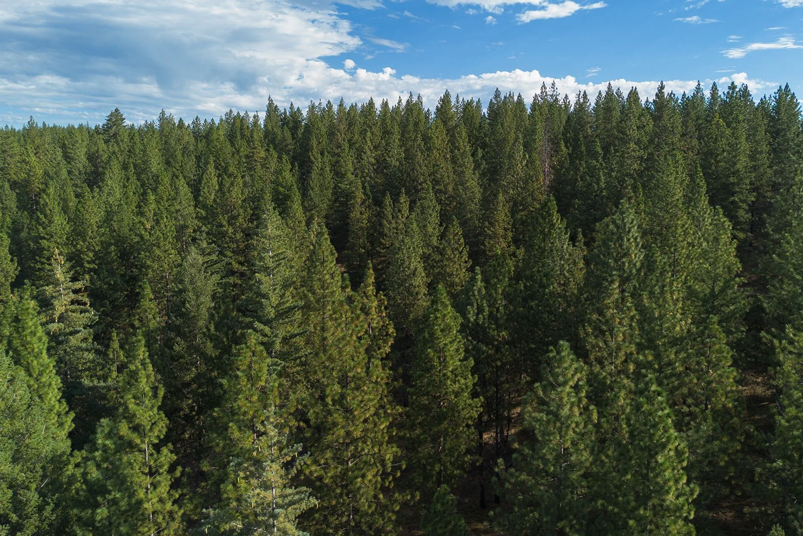 Cone Camp 2023-2_websize.jpg