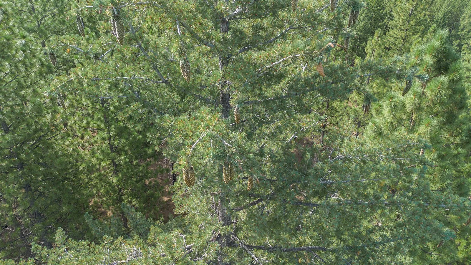 Cone Camp 2023-67_websize.jpg