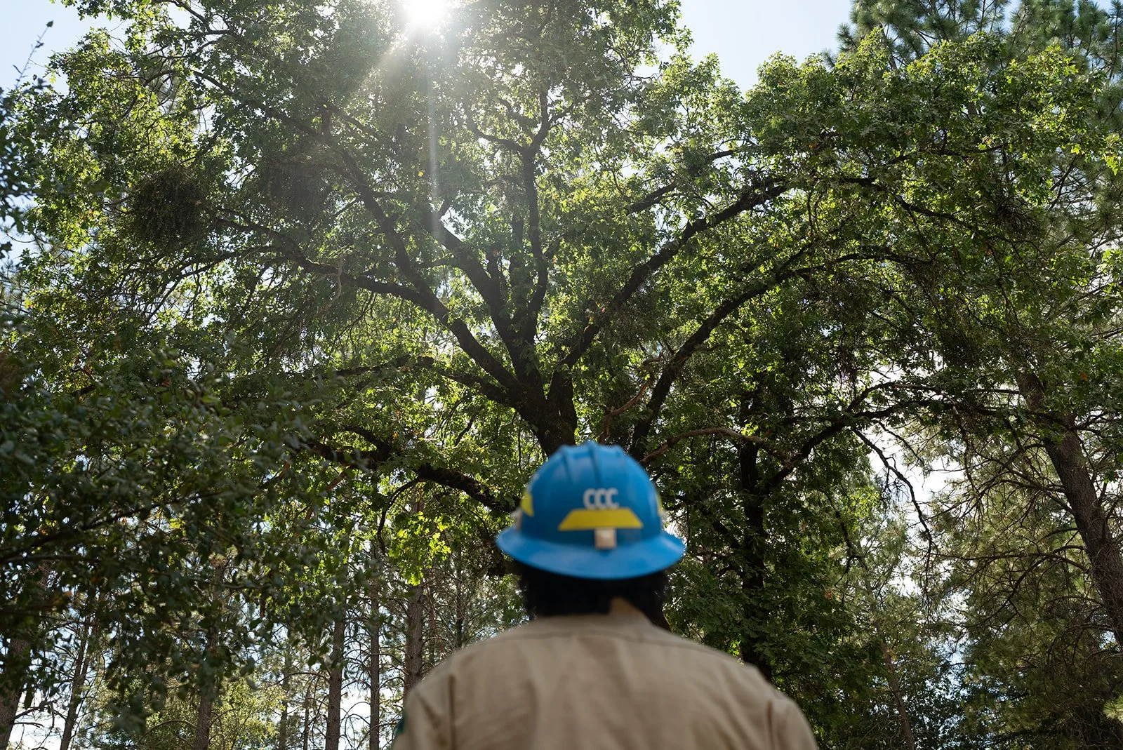 Cone Camp 2023-117_websize.jpg