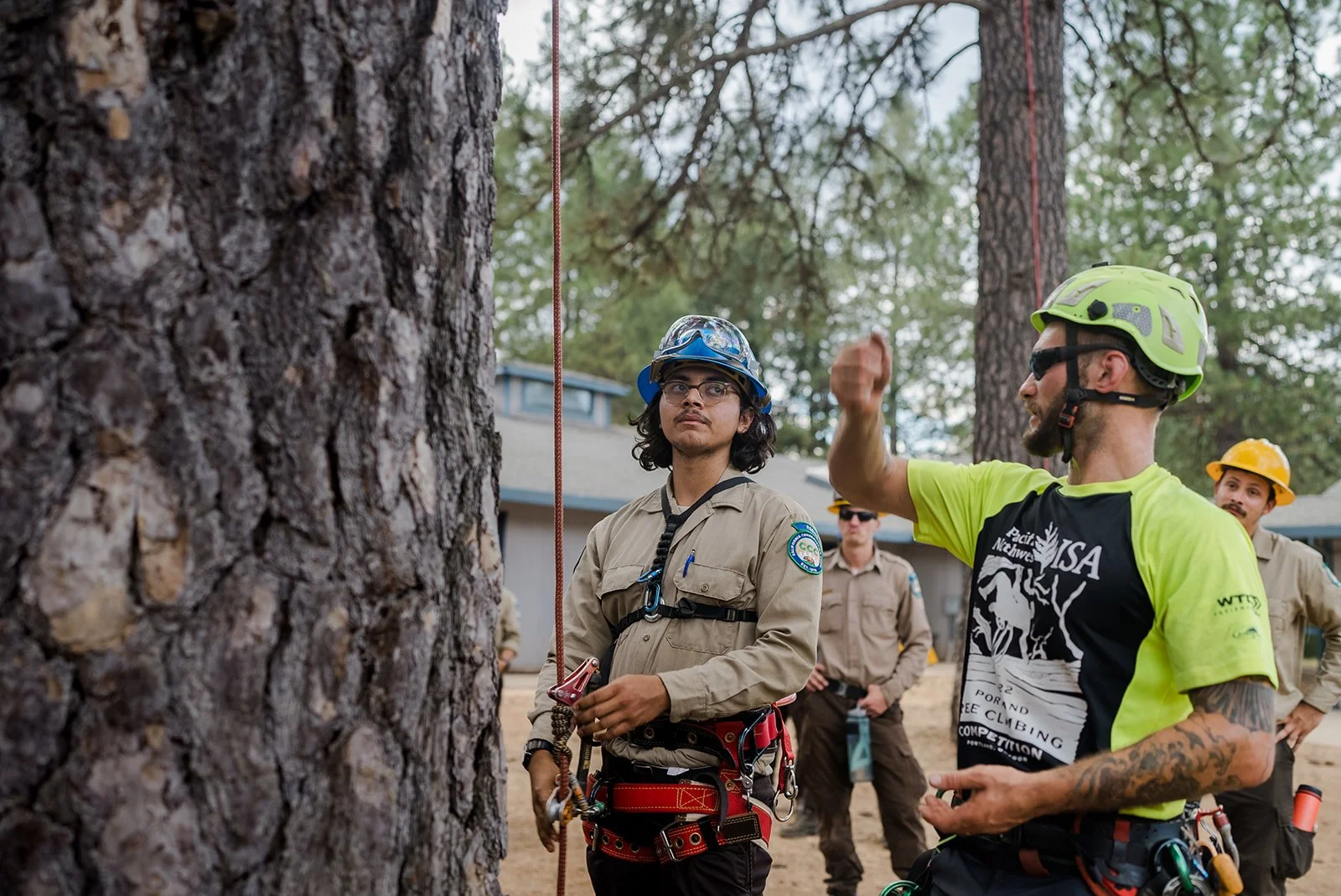 Training & Mentoring