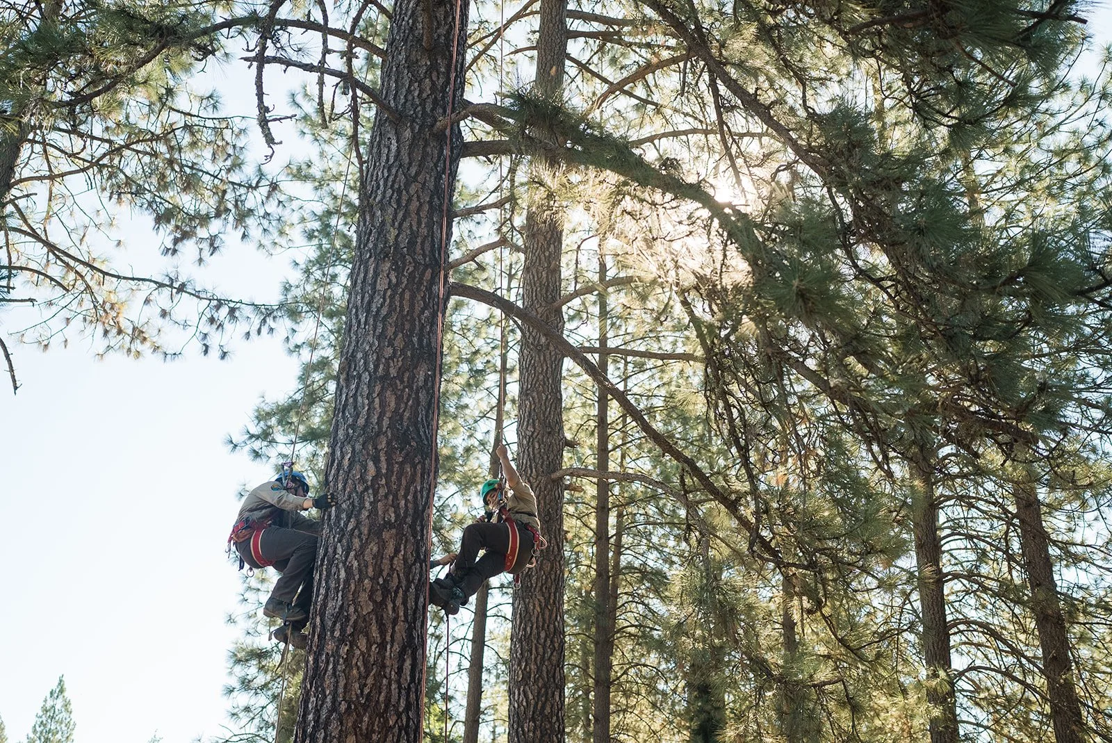 Cone Camp 2023-142_websize.jpg