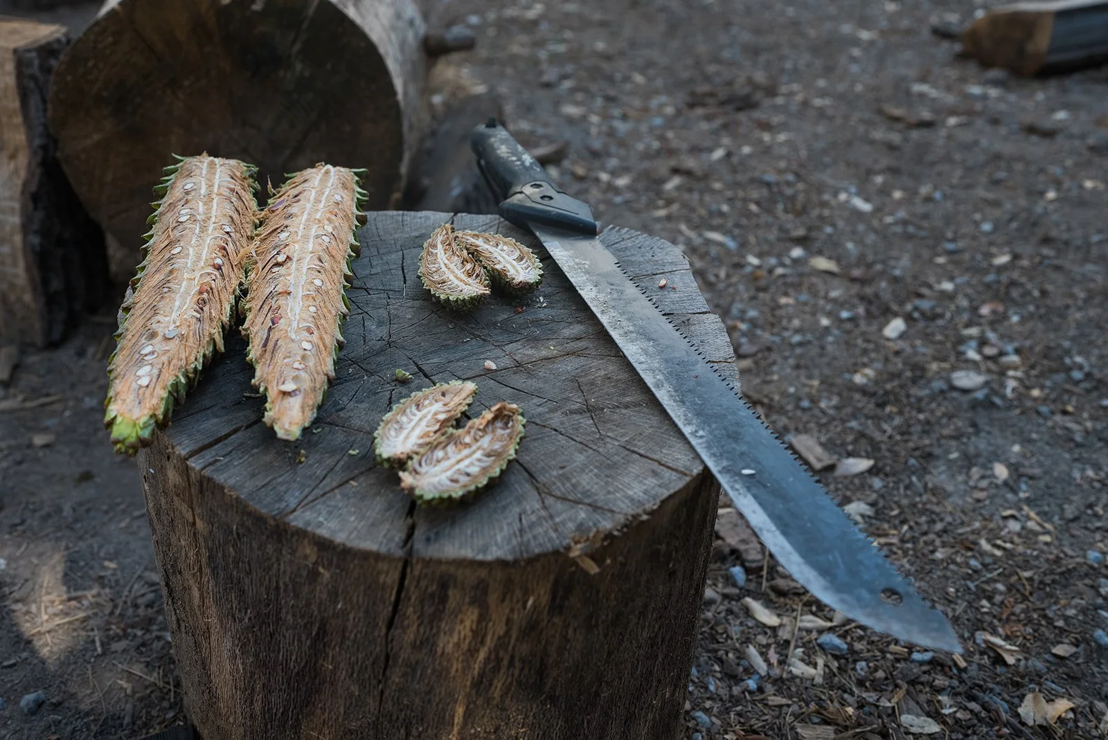 Cone Camp 2023-123_websize.jpg