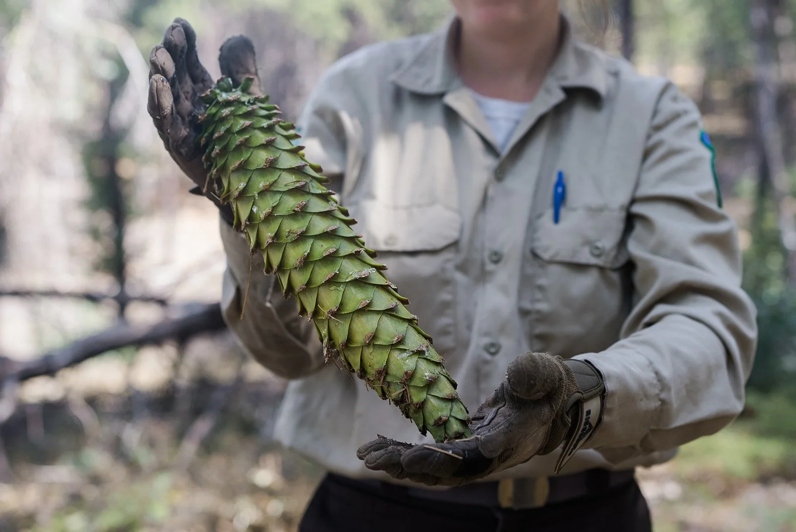 Cone Camp 2023-74_websize.jpg