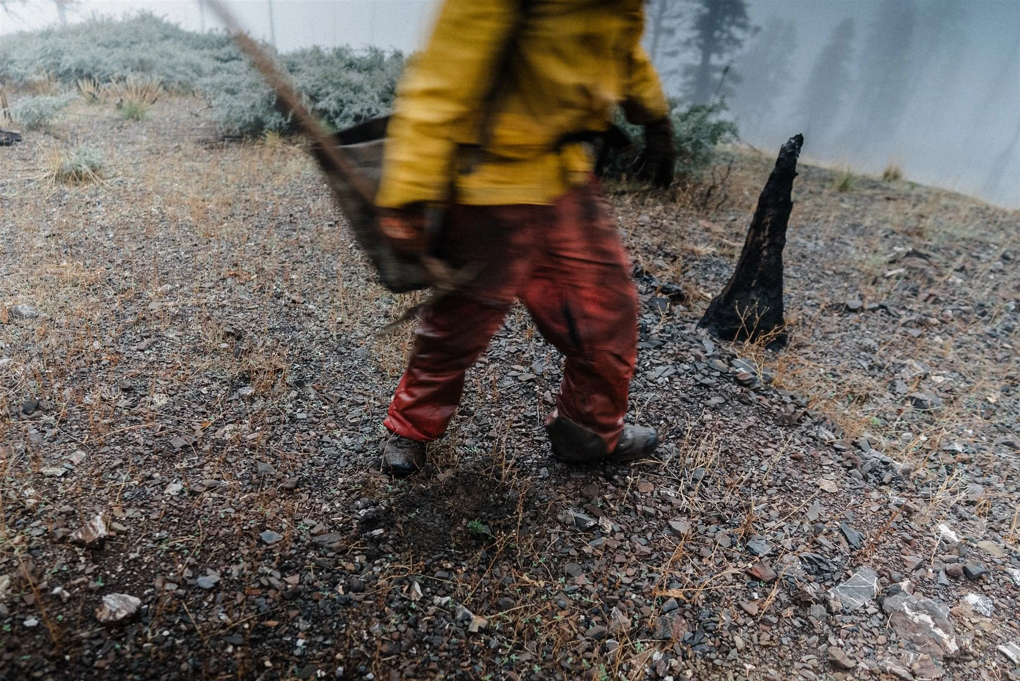 SEGI Covelo-183_websize.jpg