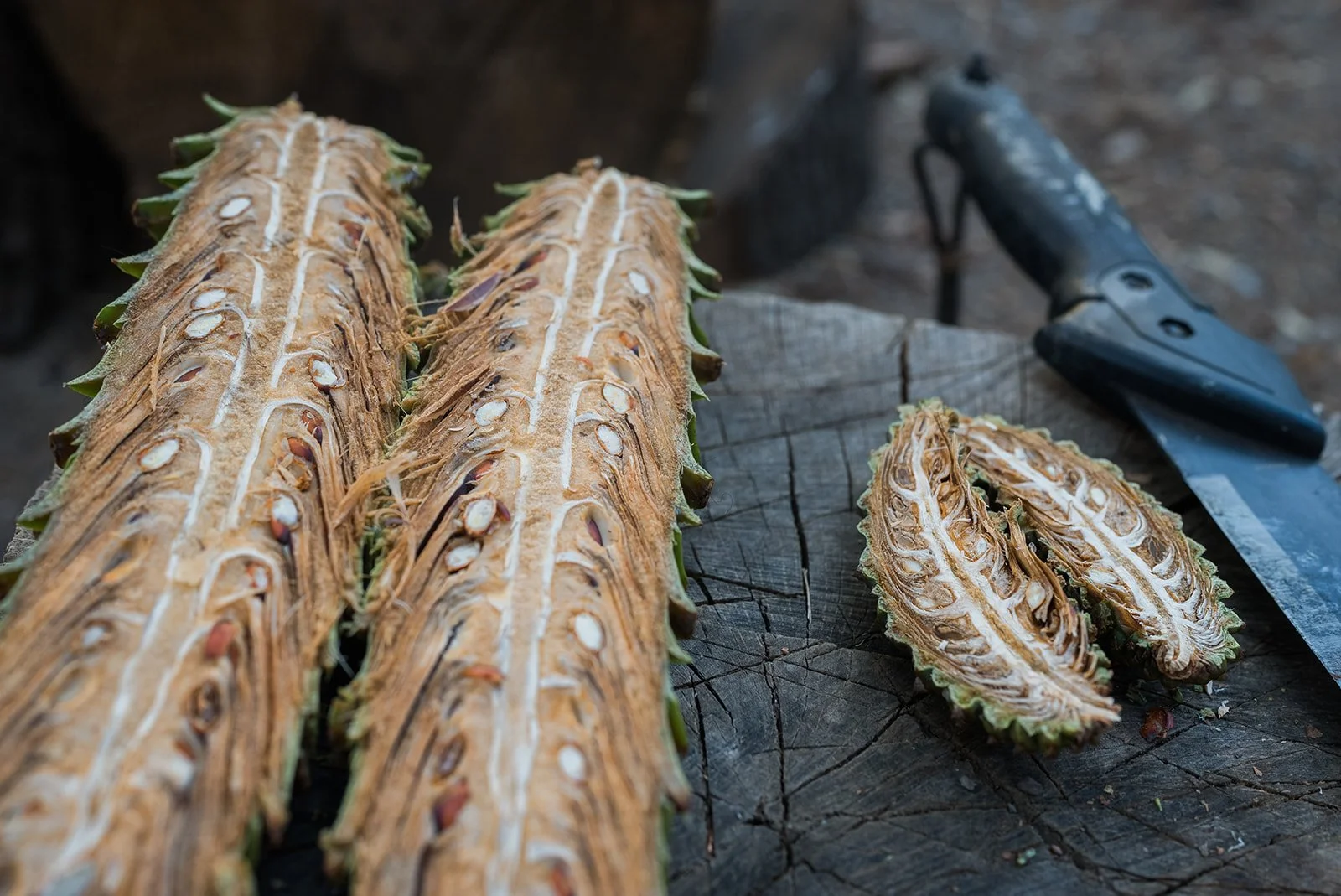 Cone Camp 2023-126_websize.jpg