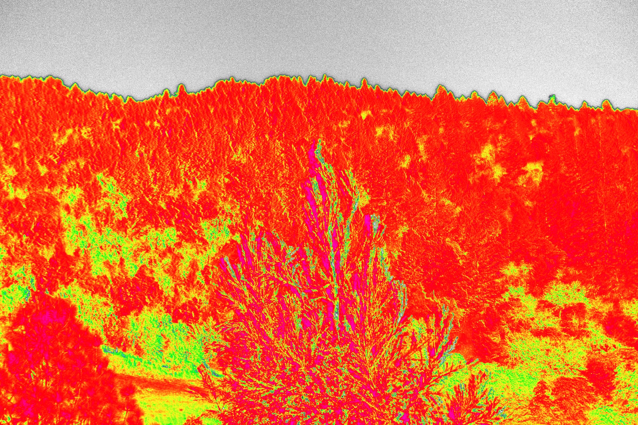 Drone Mapping & Environmental Analysis 