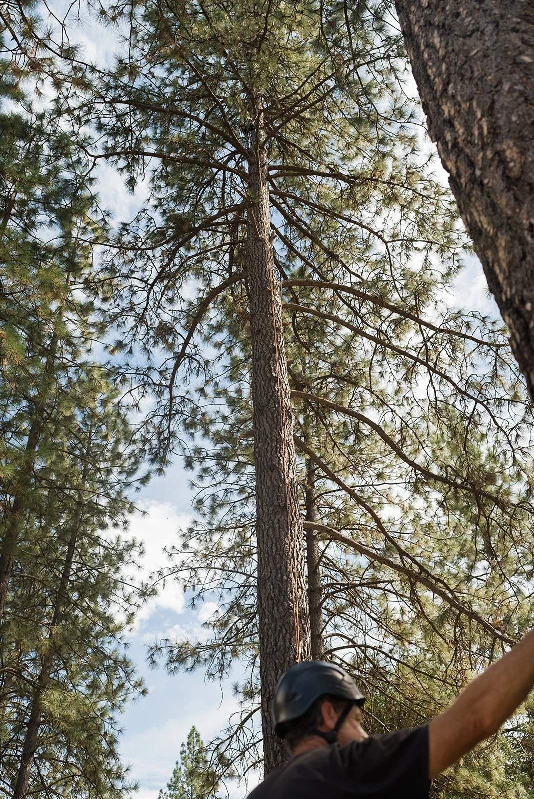 Cone Camp 2023-44_websize.jpg