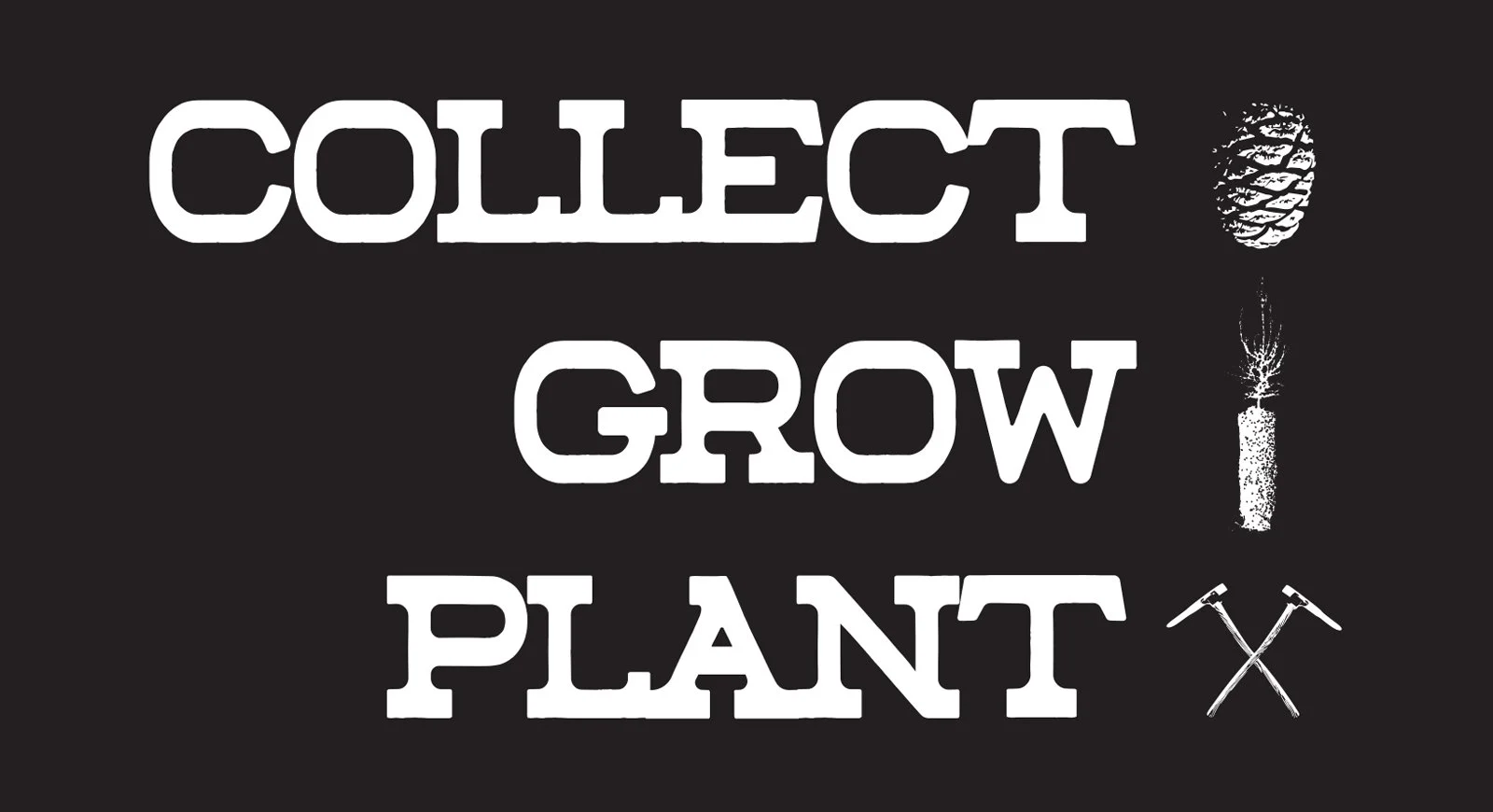White text on a black background that says "Collect, Grow, Plant" with images of a pineapple, a matchstick, and two crossed hammers.