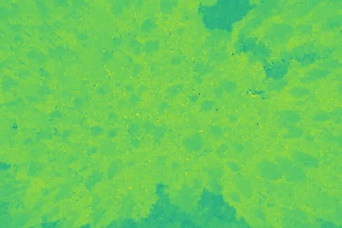 Thermo drone-4-2.jpg