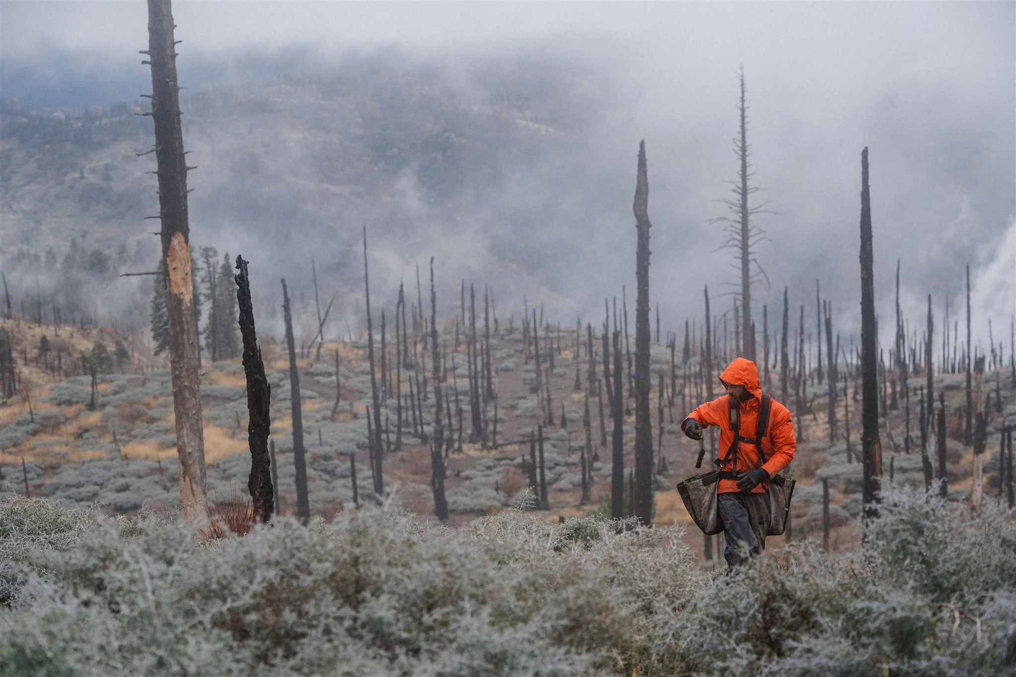 SEGI Covelo-161_websize.jpg