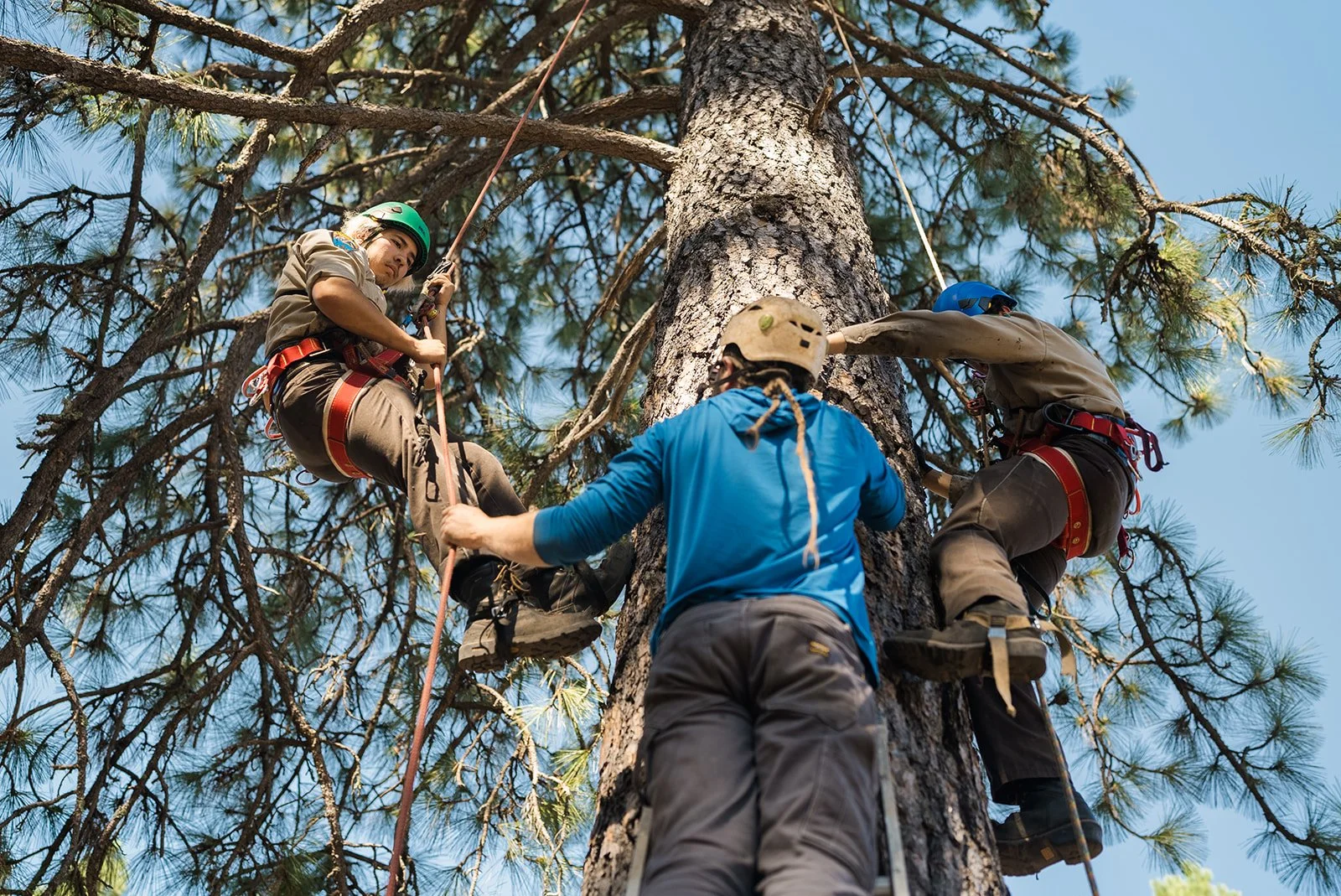 Cone Camp 2023-150_websize.jpg