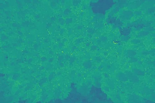 Thermo drone-5-2.jpg